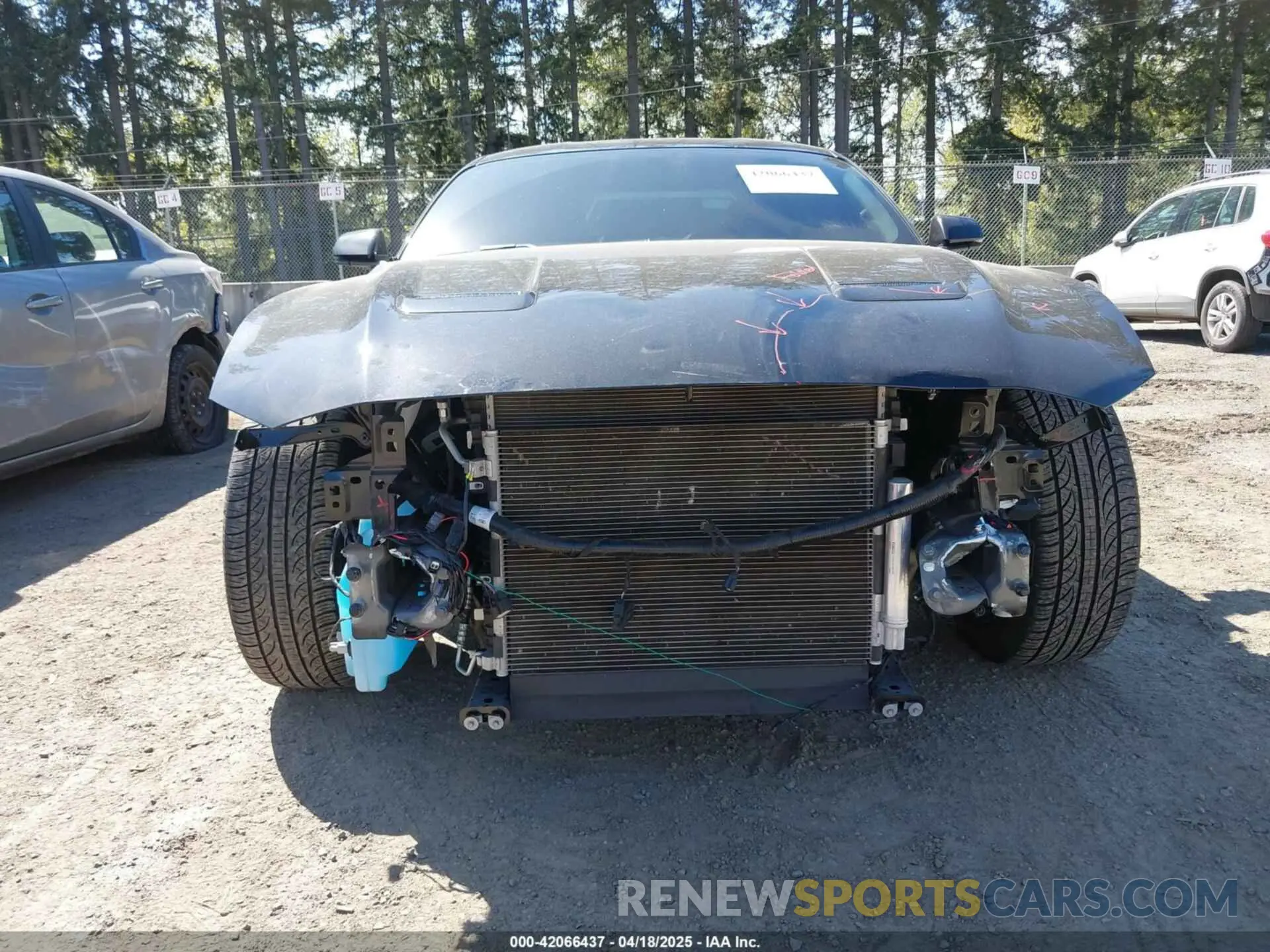 6 Фотография поврежденного автомобиля 1FA6P8CF9L5163585 FORD MUSTANG 2020