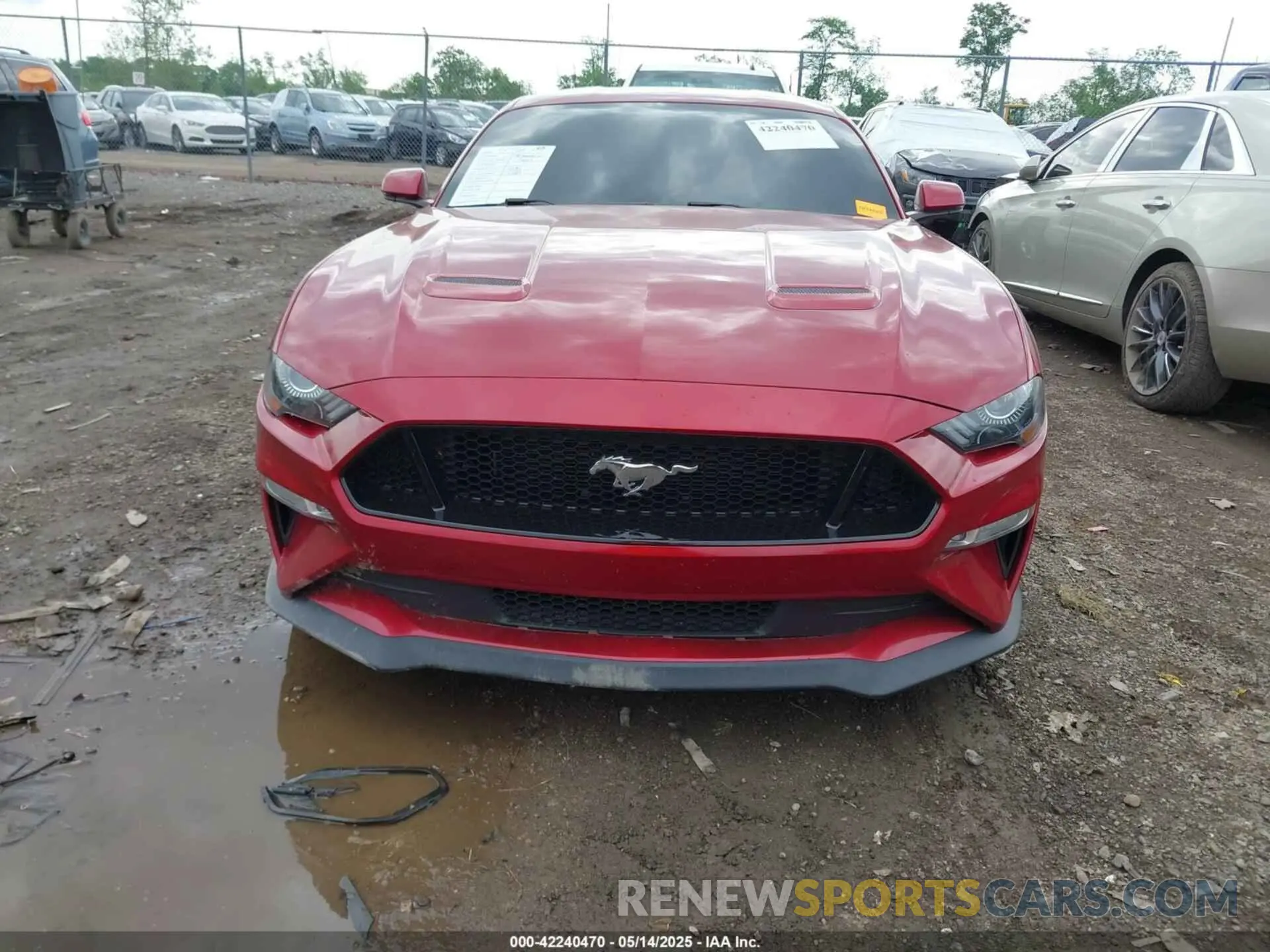 12 Фотография поврежденного автомобиля 1FA6P8CF9L5169550 FORD MUSTANG 2020
