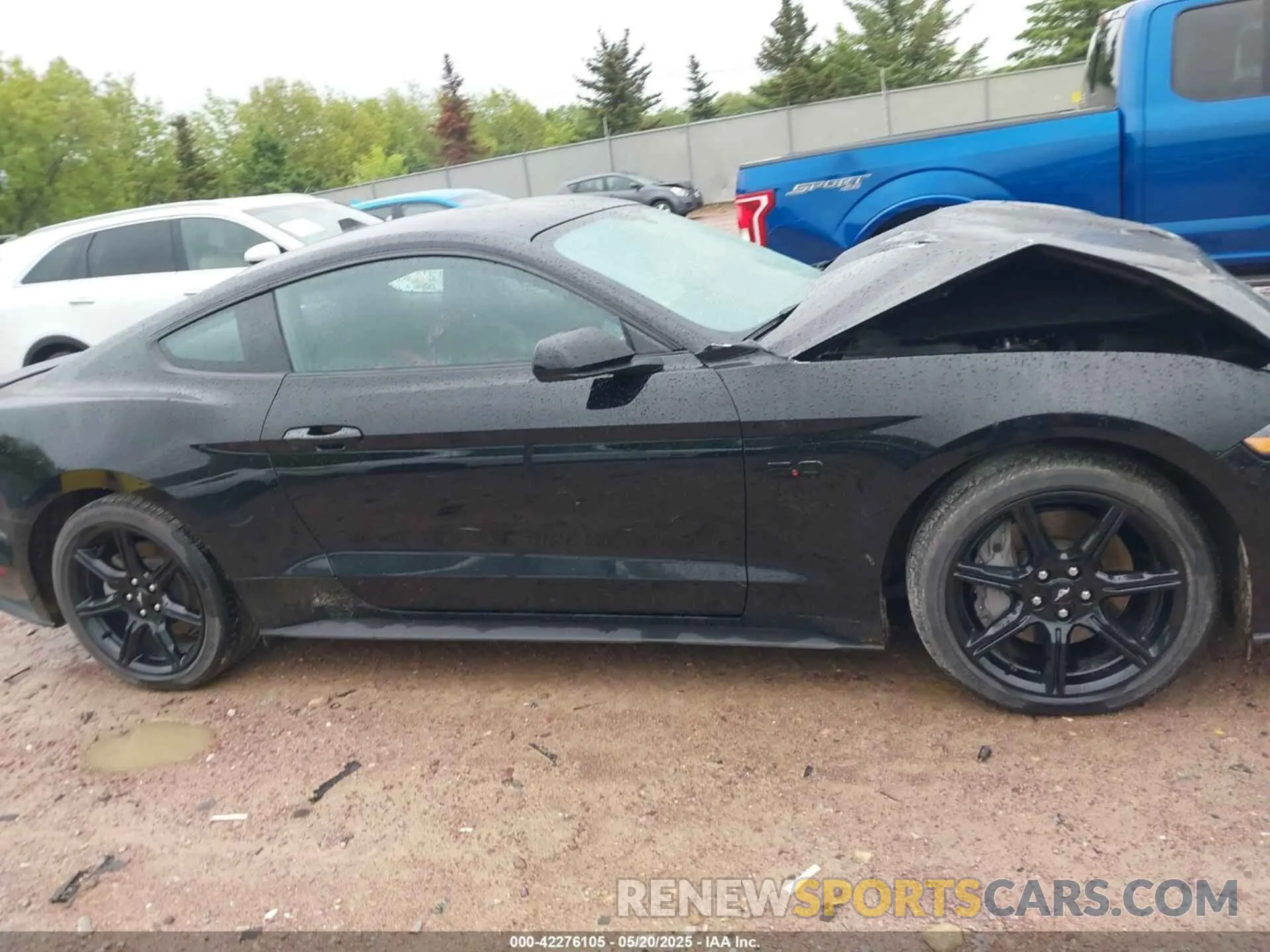 13 Photograph of a damaged car 1FA6P8CFXL5158685 FORD MUSTANG 2020