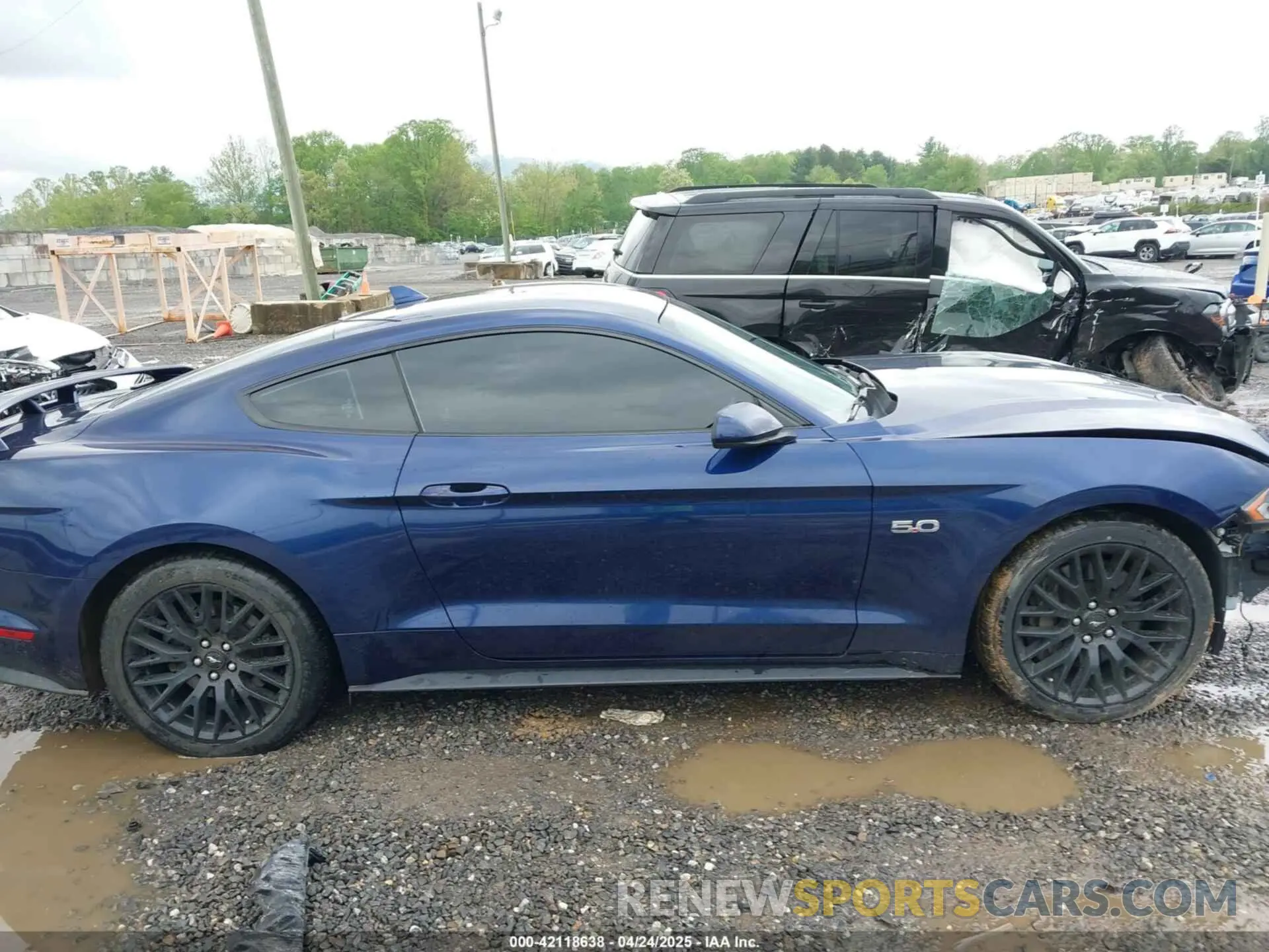14 Фотография поврежденного автомобиля 1FA6P8CFXL5169105 FORD MUSTANG 2020