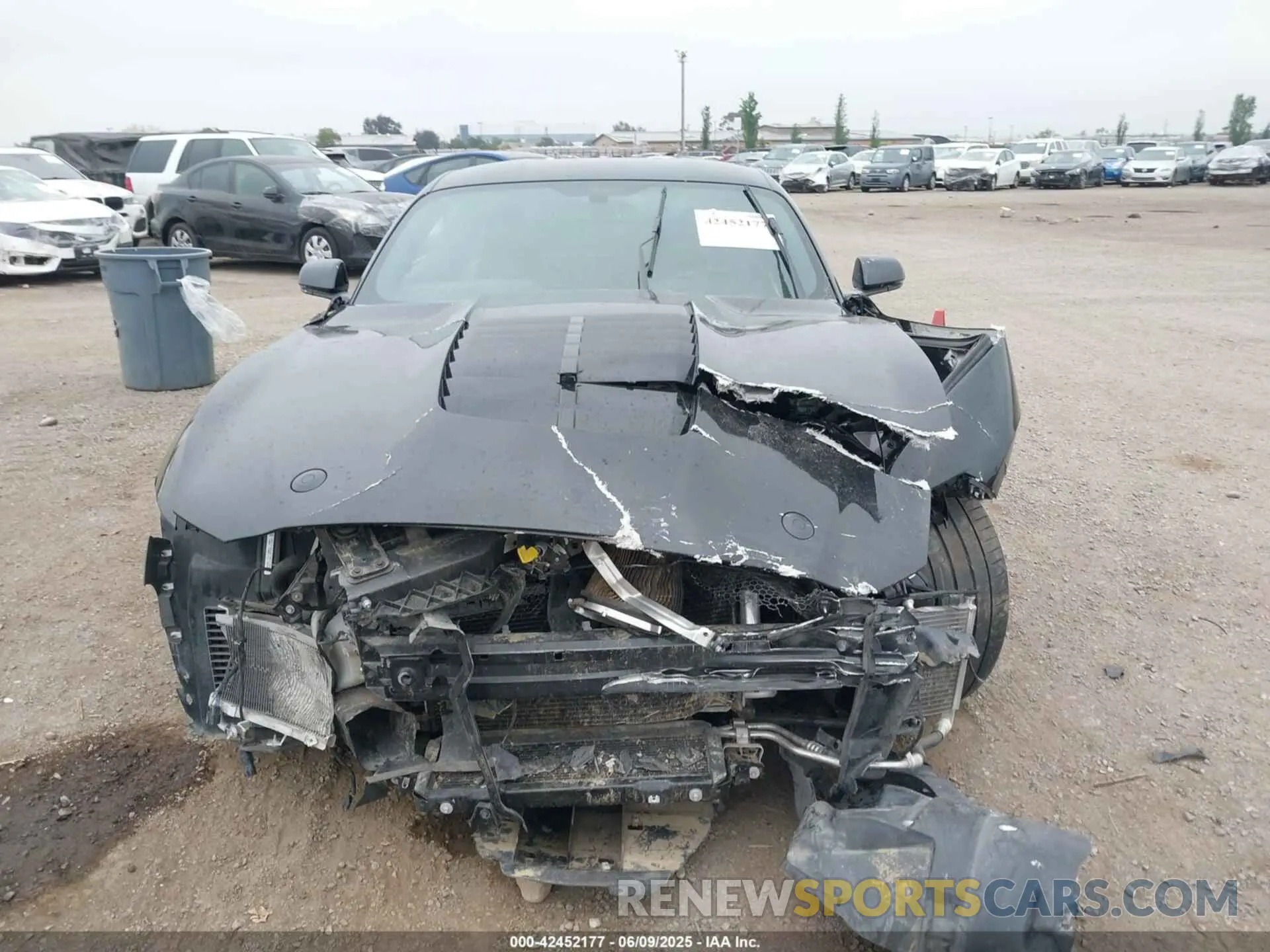 12 Photograph of a damaged car 1FA6P8SJ4L5503988 FORD MUSTANG 2020