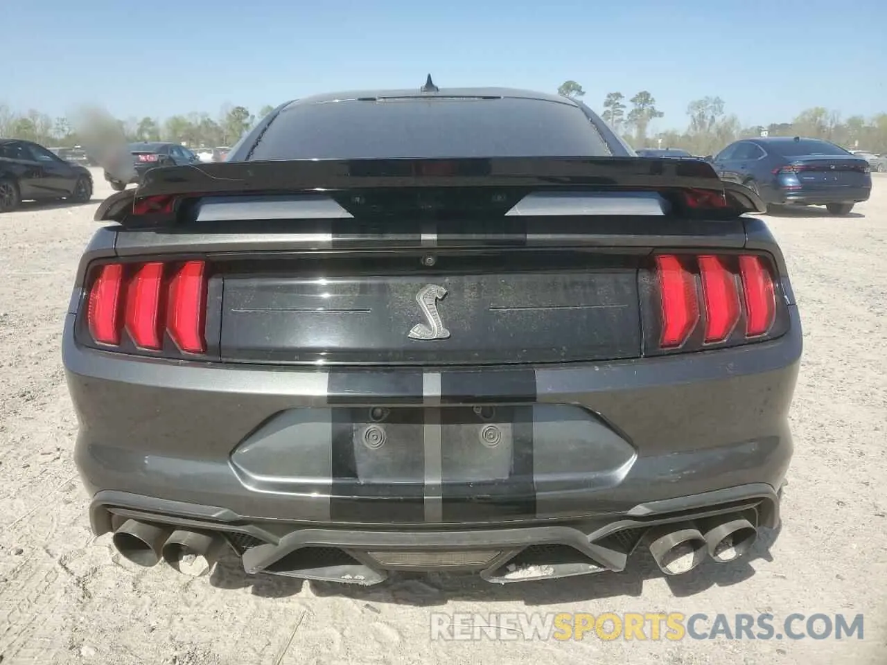 6 Фотография поврежденного автомобиля 1FA6P8SJXL5504191 FORD MUSTANG 2020