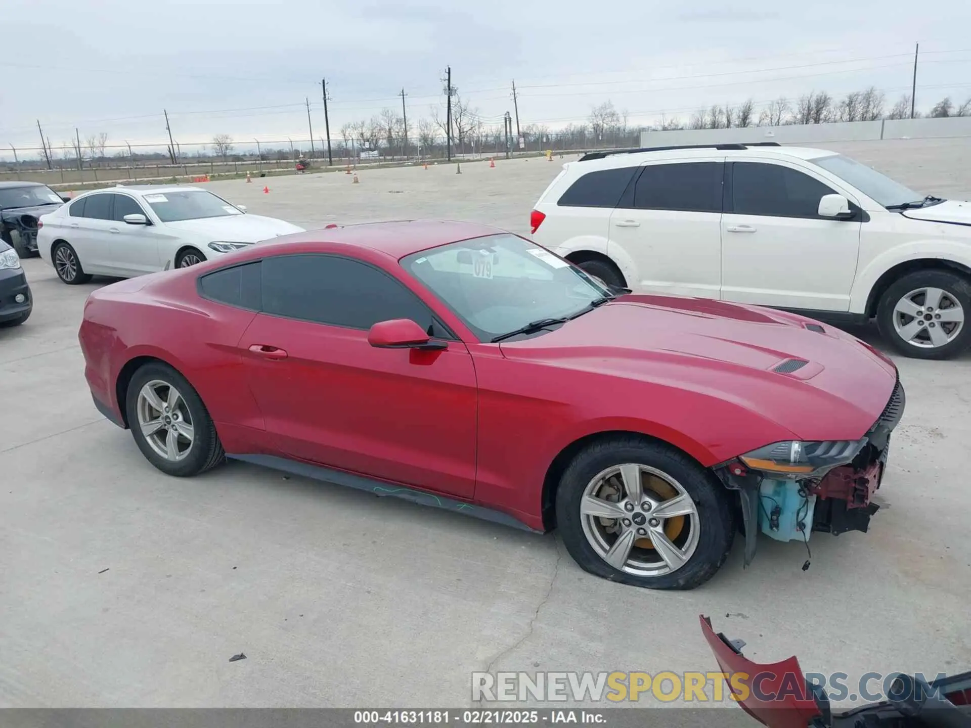 14 Photograph of a damaged car 1FA6P8TH1L5124541 FORD MUSTANG 2020