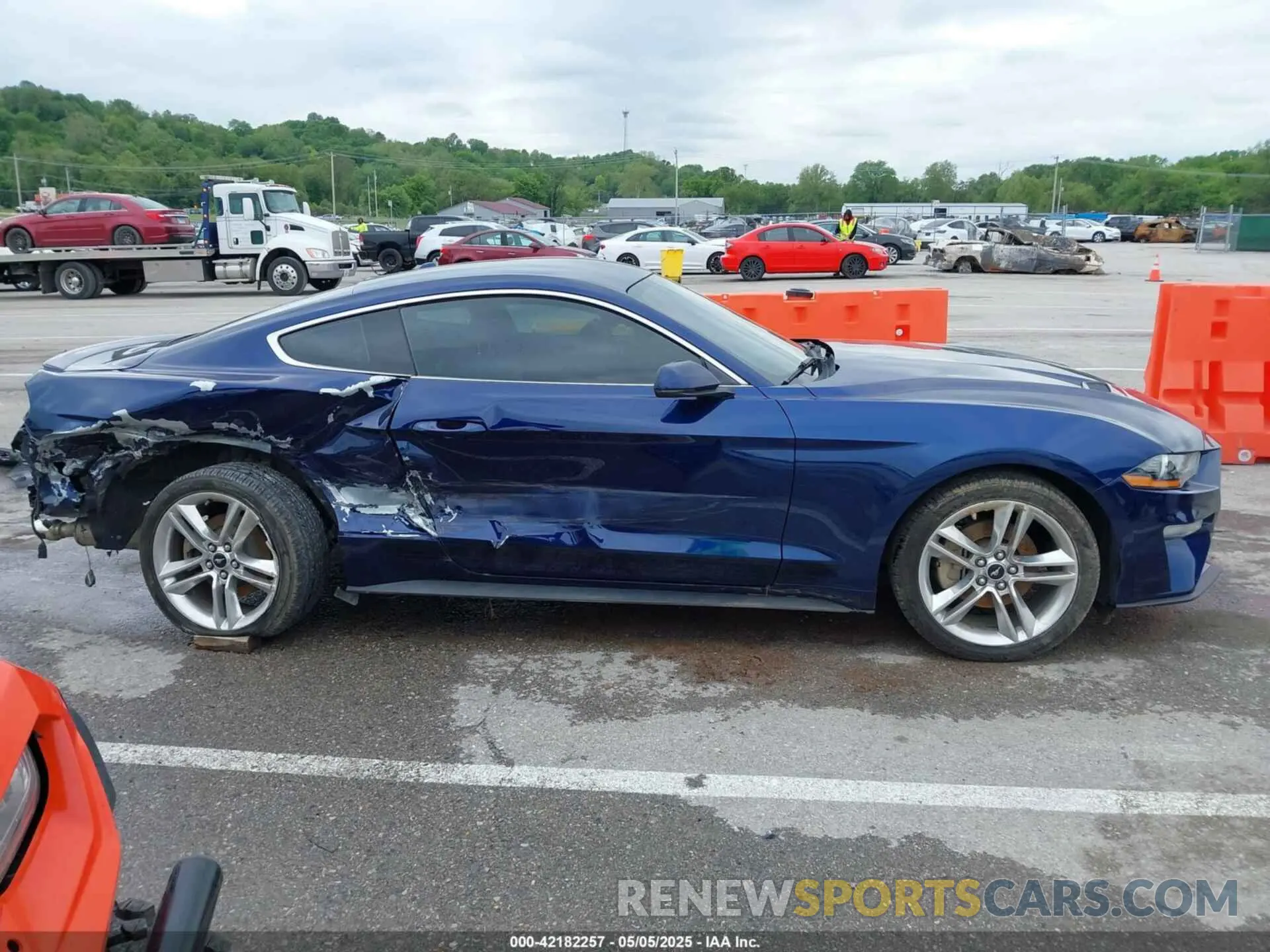 14 Фотография поврежденного автомобиля 1FA6P8TH2L5108722 FORD MUSTANG 2020