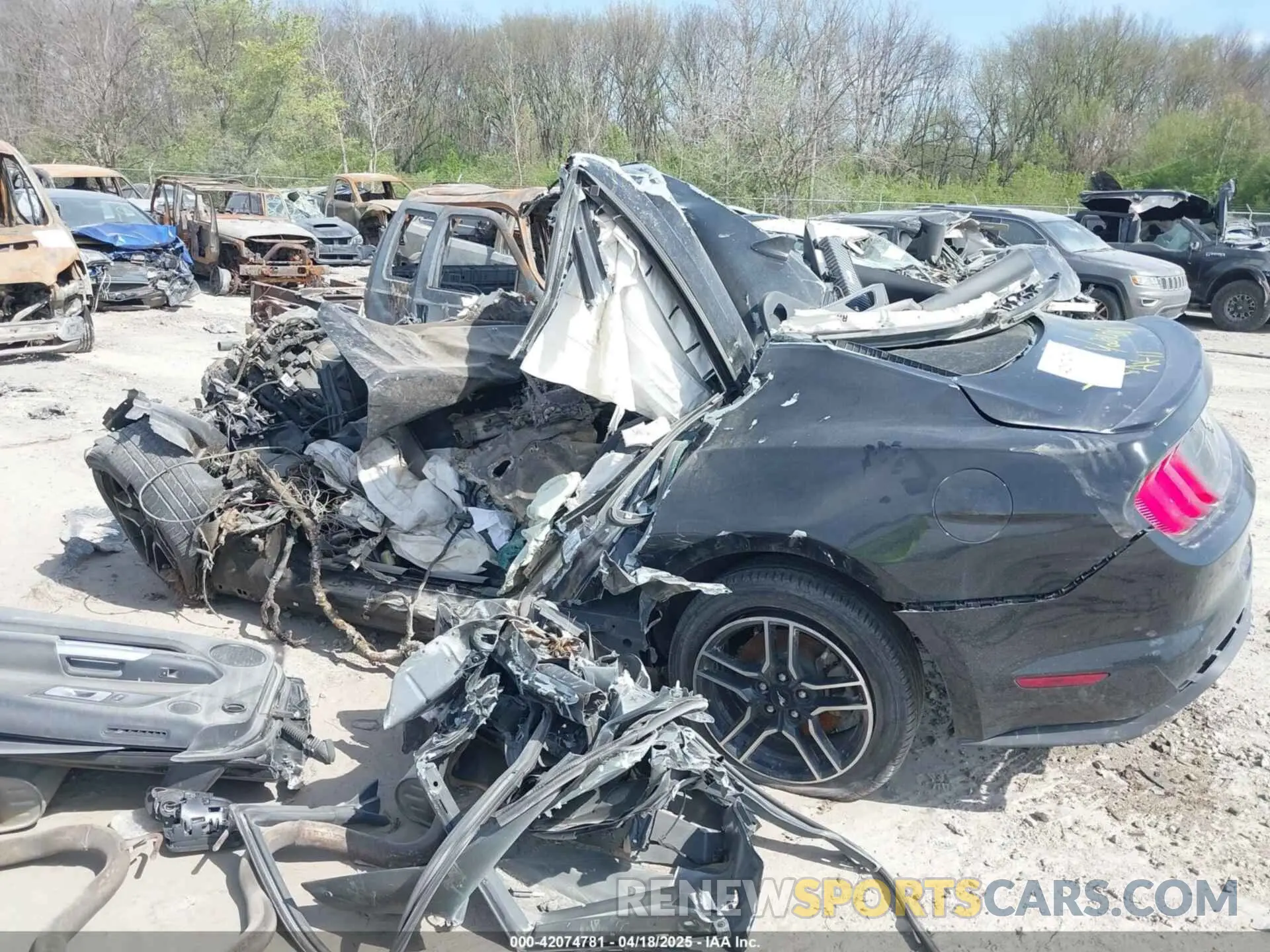 14 Photograph of a damaged car 1FA6P8TH2L5162425 FORD MUSTANG 2020