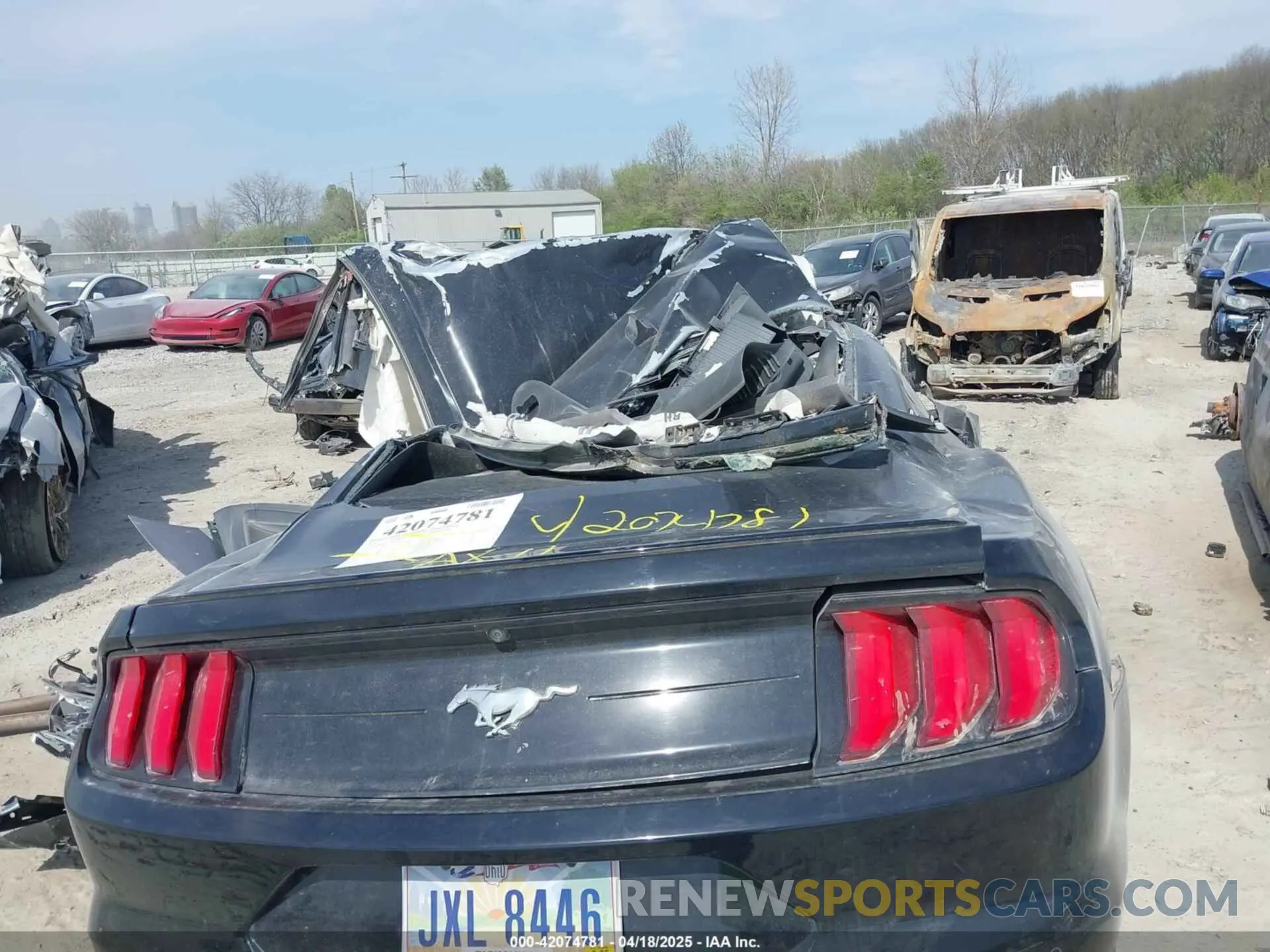 16 Photograph of a damaged car 1FA6P8TH2L5162425 FORD MUSTANG 2020
