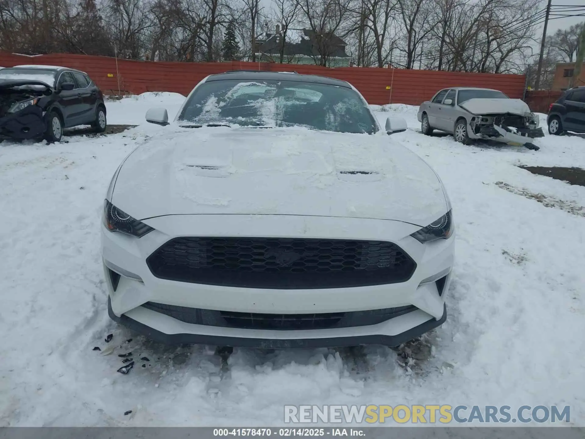 12 Photograph of a damaged car 1FA6P8TH2L5182142 FORD MUSTANG 2020