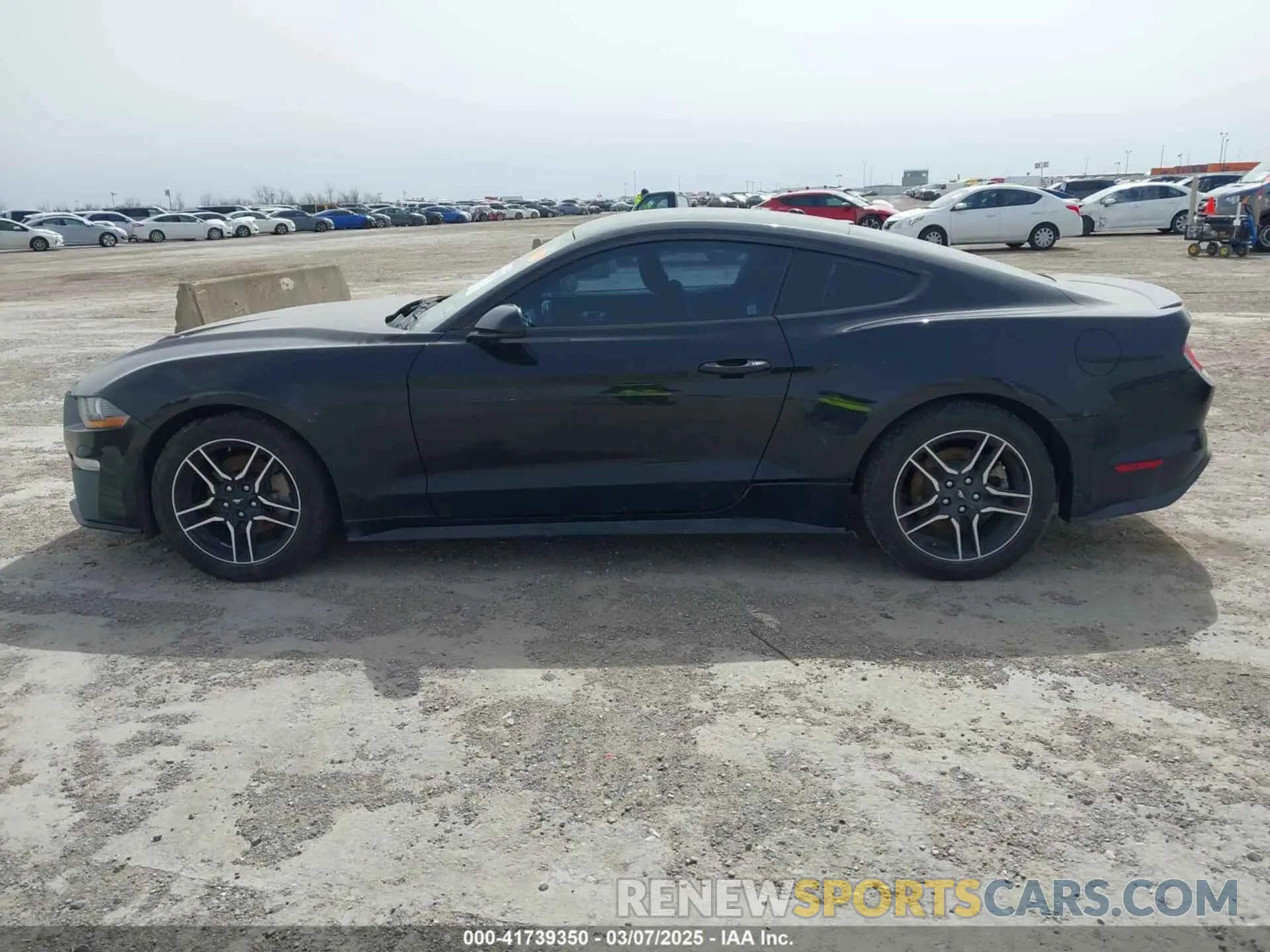 14 Фотография поврежденного автомобиля 1FA6P8TH3L5114920 FORD MUSTANG 2020