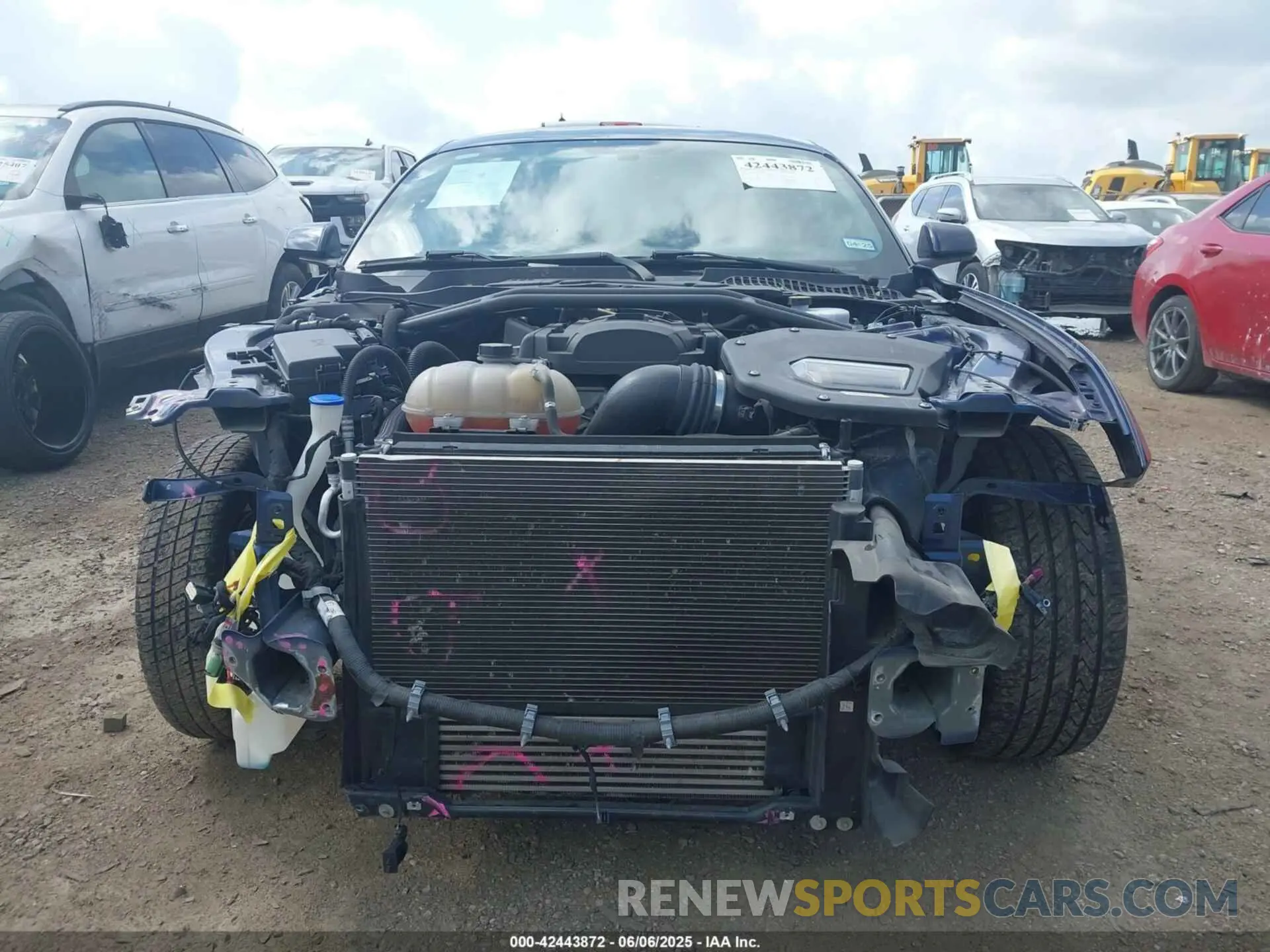 13 Photograph of a damaged car 1FA6P8TH4L5126770 FORD MUSTANG 2020