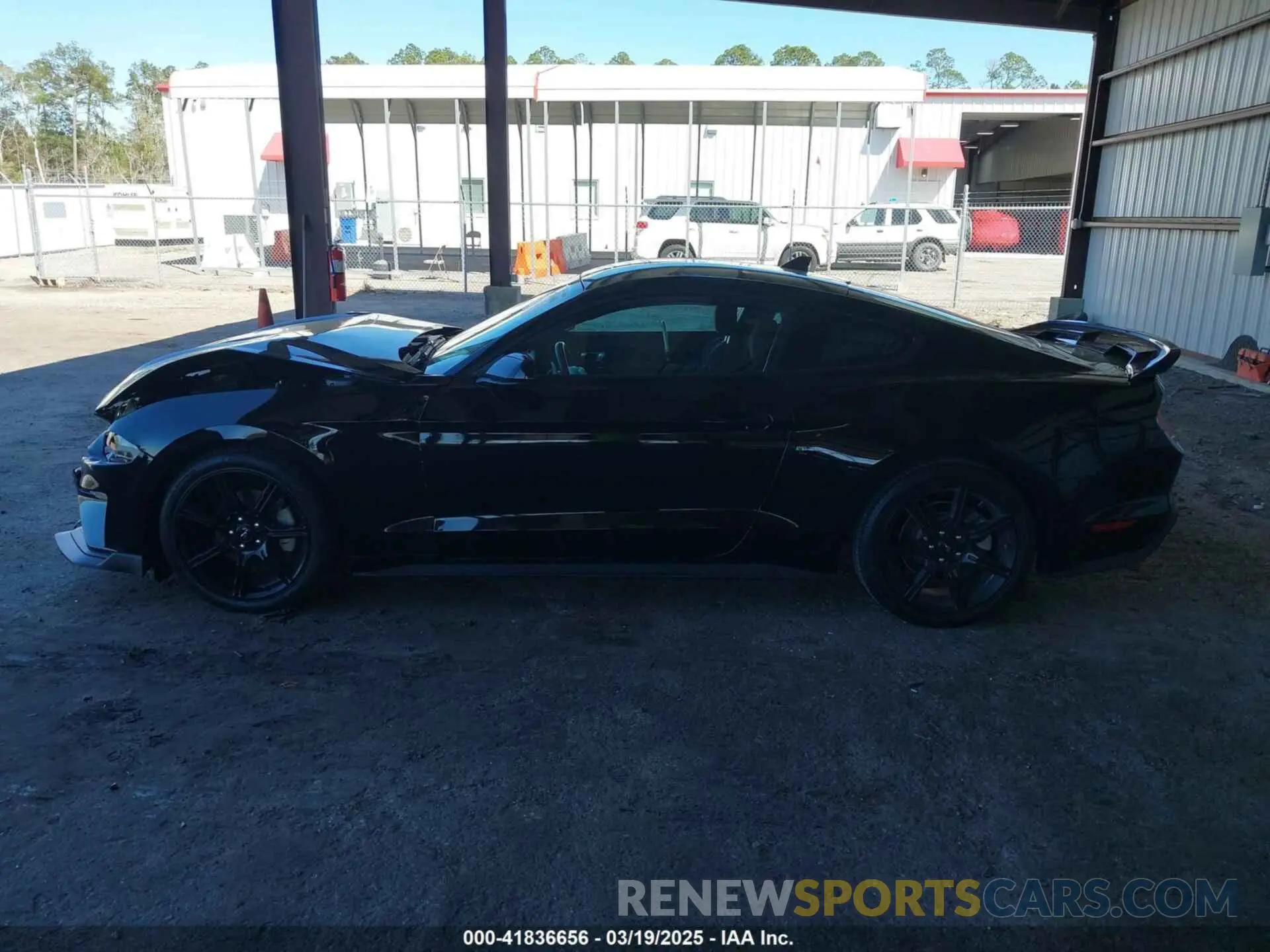 14 Фотография поврежденного автомобиля 1FA6P8TH4L5157985 FORD MUSTANG 2020
