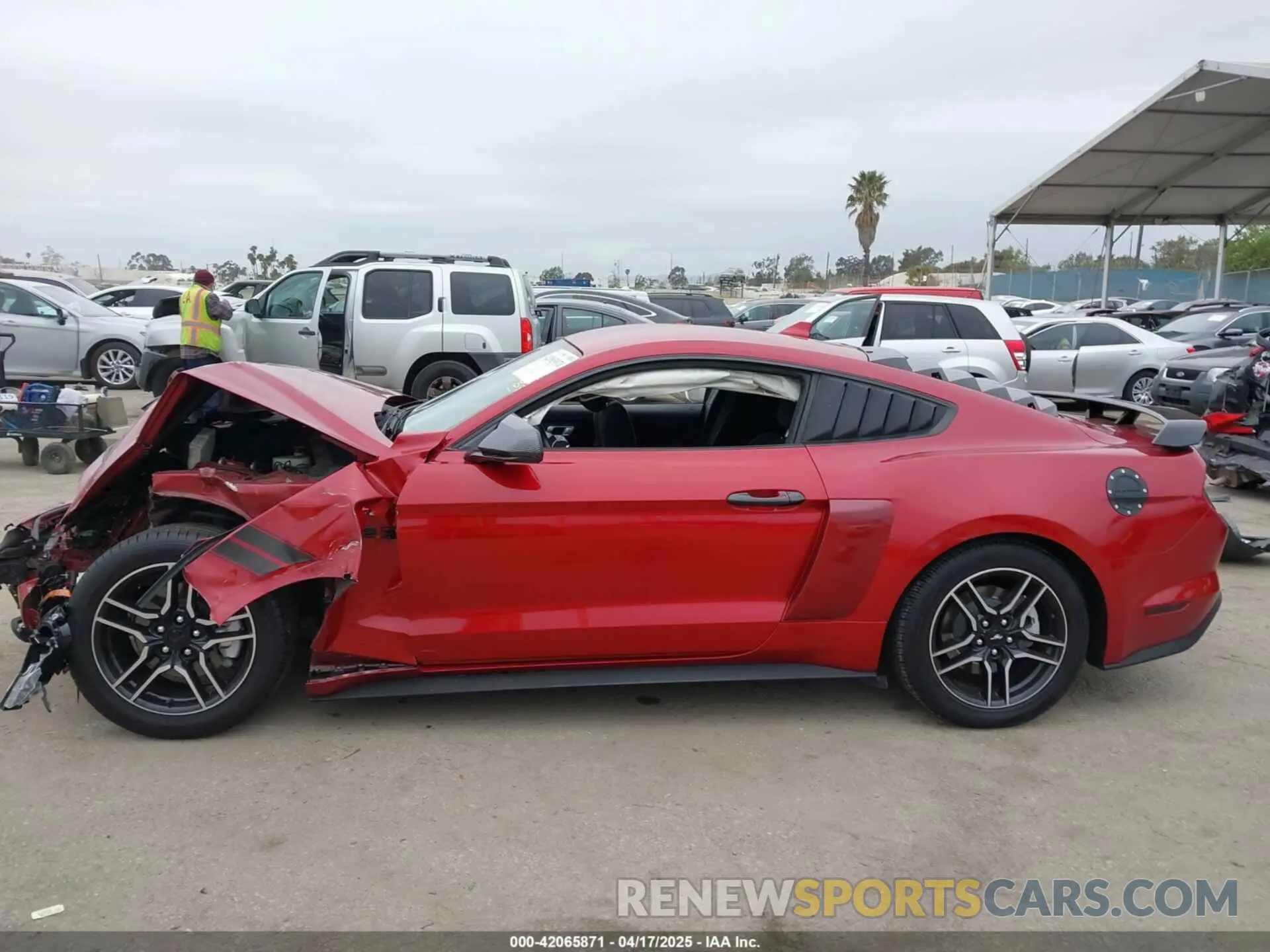 14 Photograph of a damaged car 1FA6P8TH4L5189982 FORD MUSTANG 2020