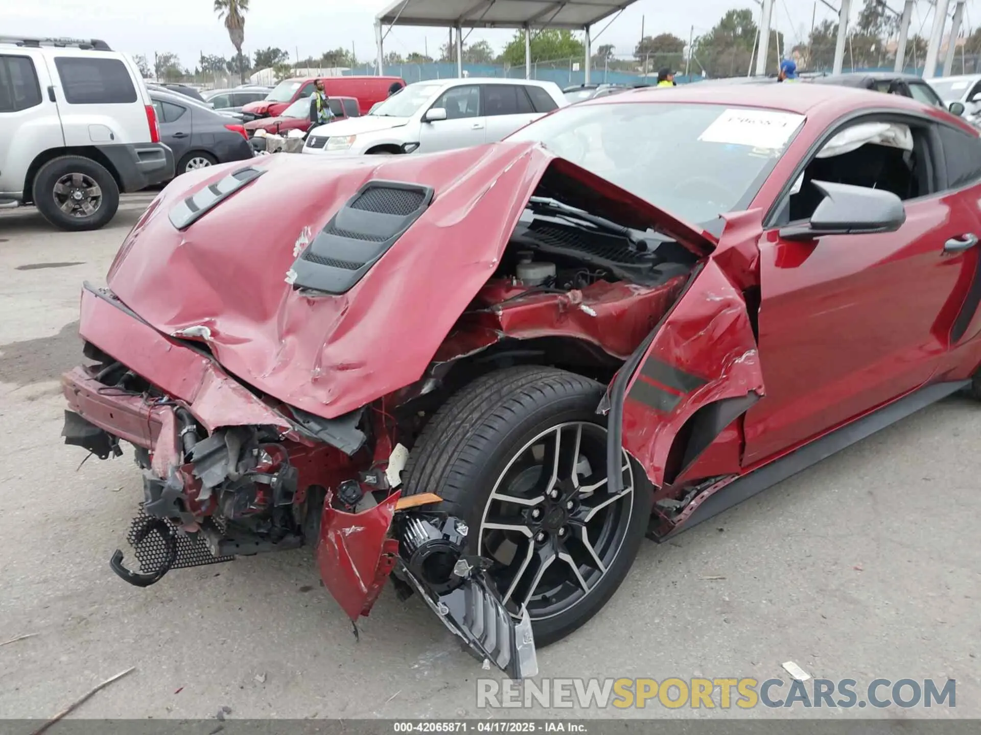 6 Photograph of a damaged car 1FA6P8TH4L5189982 FORD MUSTANG 2020