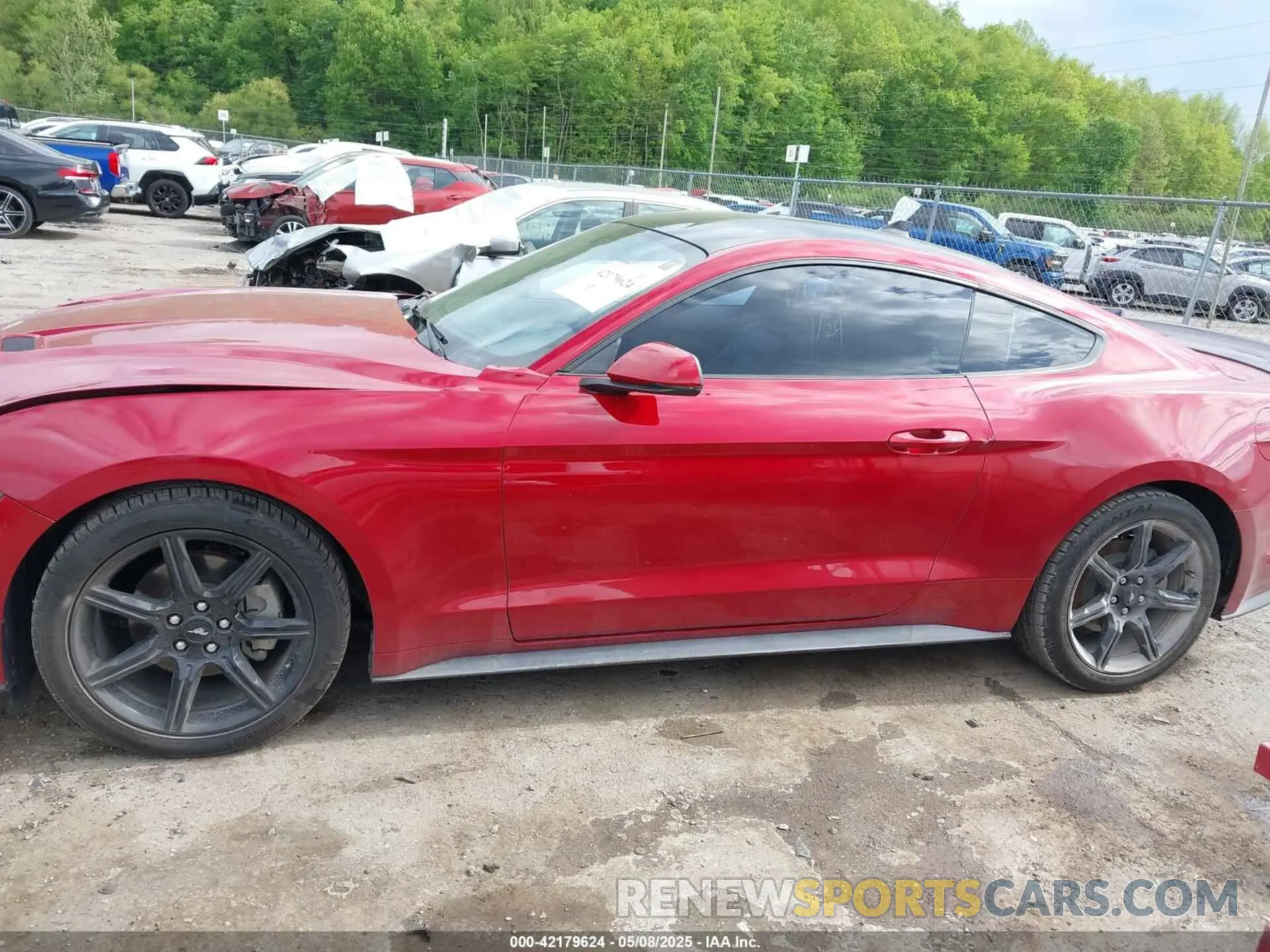 14 Photograph of a damaged car 1FA6P8TH6L5149788 FORD MUSTANG 2020