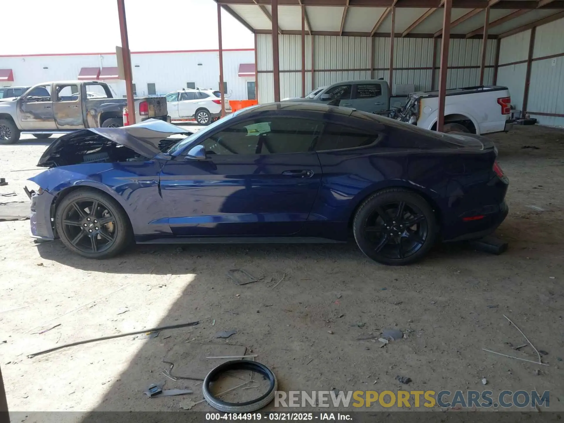 14 Photograph of a damaged car 1FA6P8TH7L5158581 FORD MUSTANG 2020