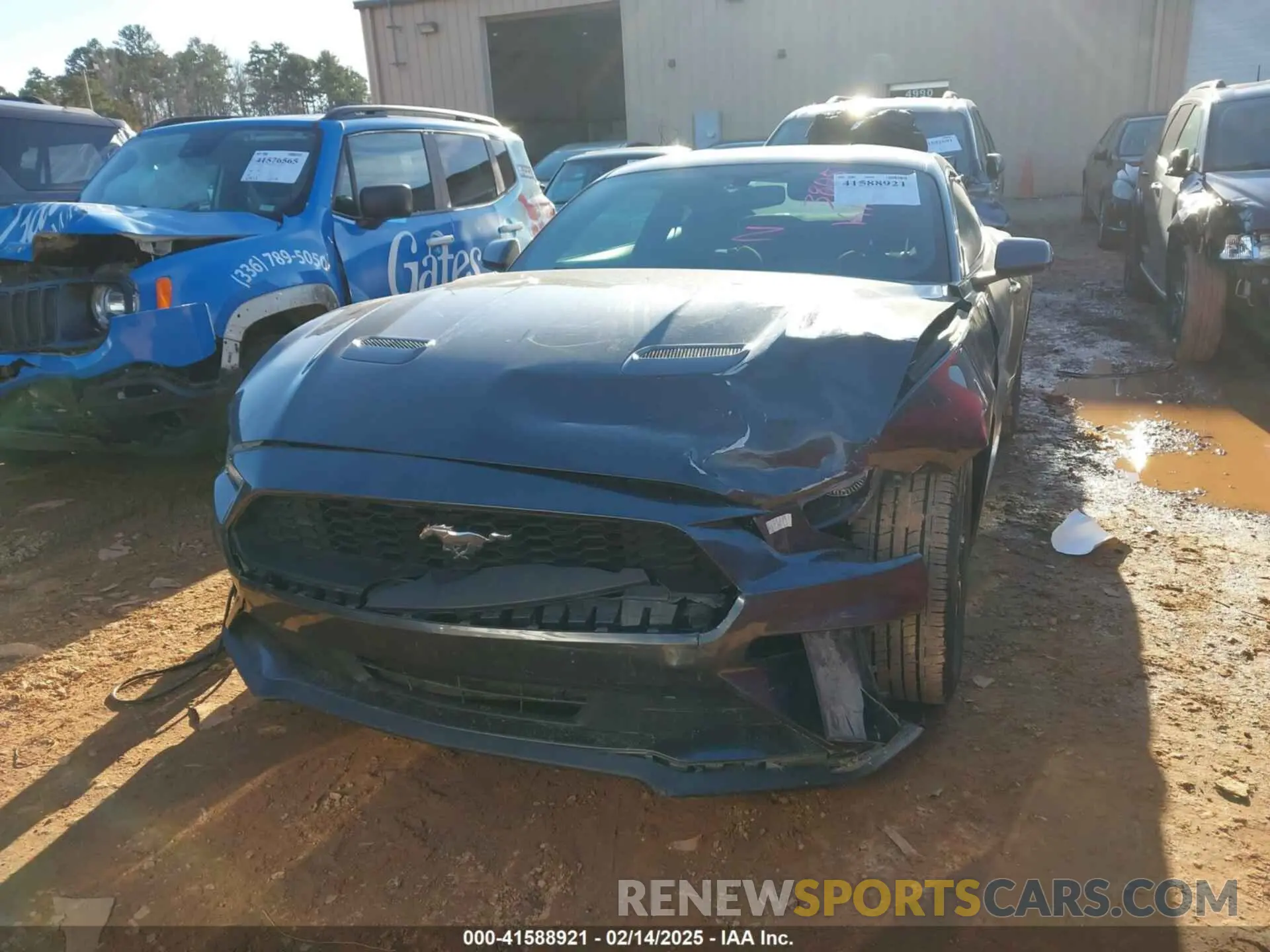 12 Photograph of a damaged car 1FA6P8TH9L5113805 FORD MUSTANG 2020