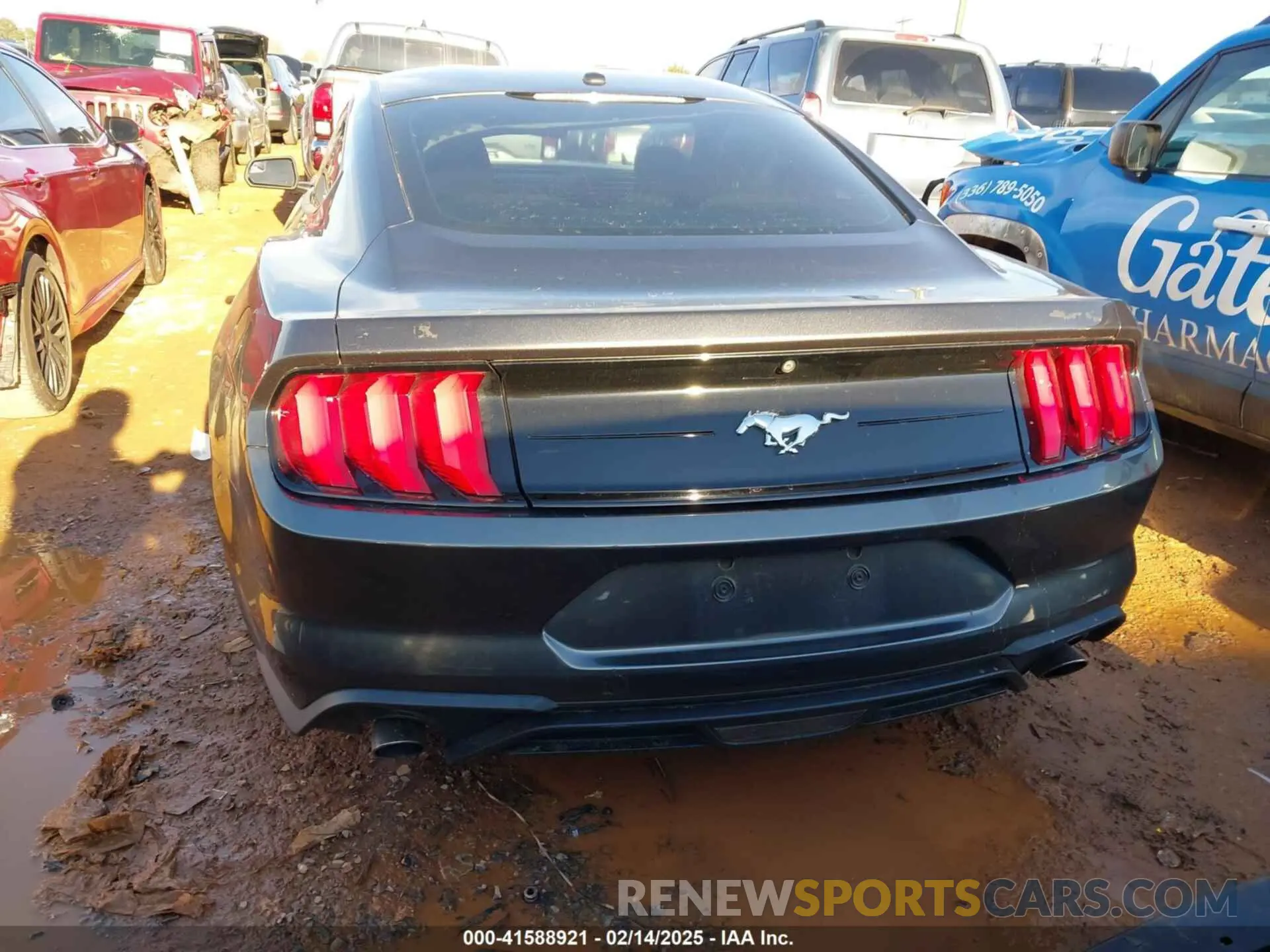 16 Photograph of a damaged car 1FA6P8TH9L5113805 FORD MUSTANG 2020