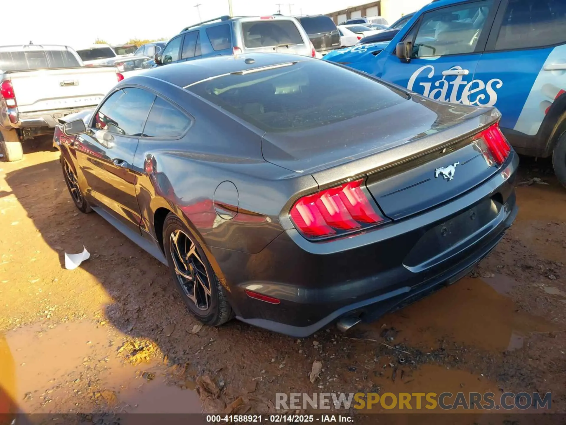 3 Photograph of a damaged car 1FA6P8TH9L5113805 FORD MUSTANG 2020