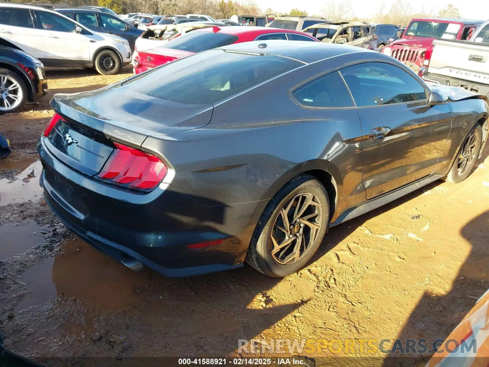 4 Photograph of a damaged car 1FA6P8TH9L5113805 FORD MUSTANG 2020