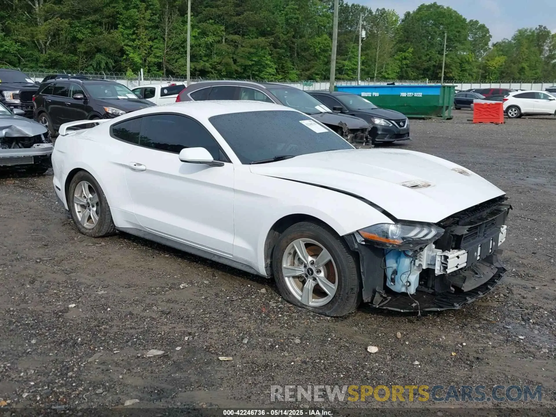 1 Photograph of a damaged car 1FA6P8TH9L5132788 FORD MUSTANG 2020