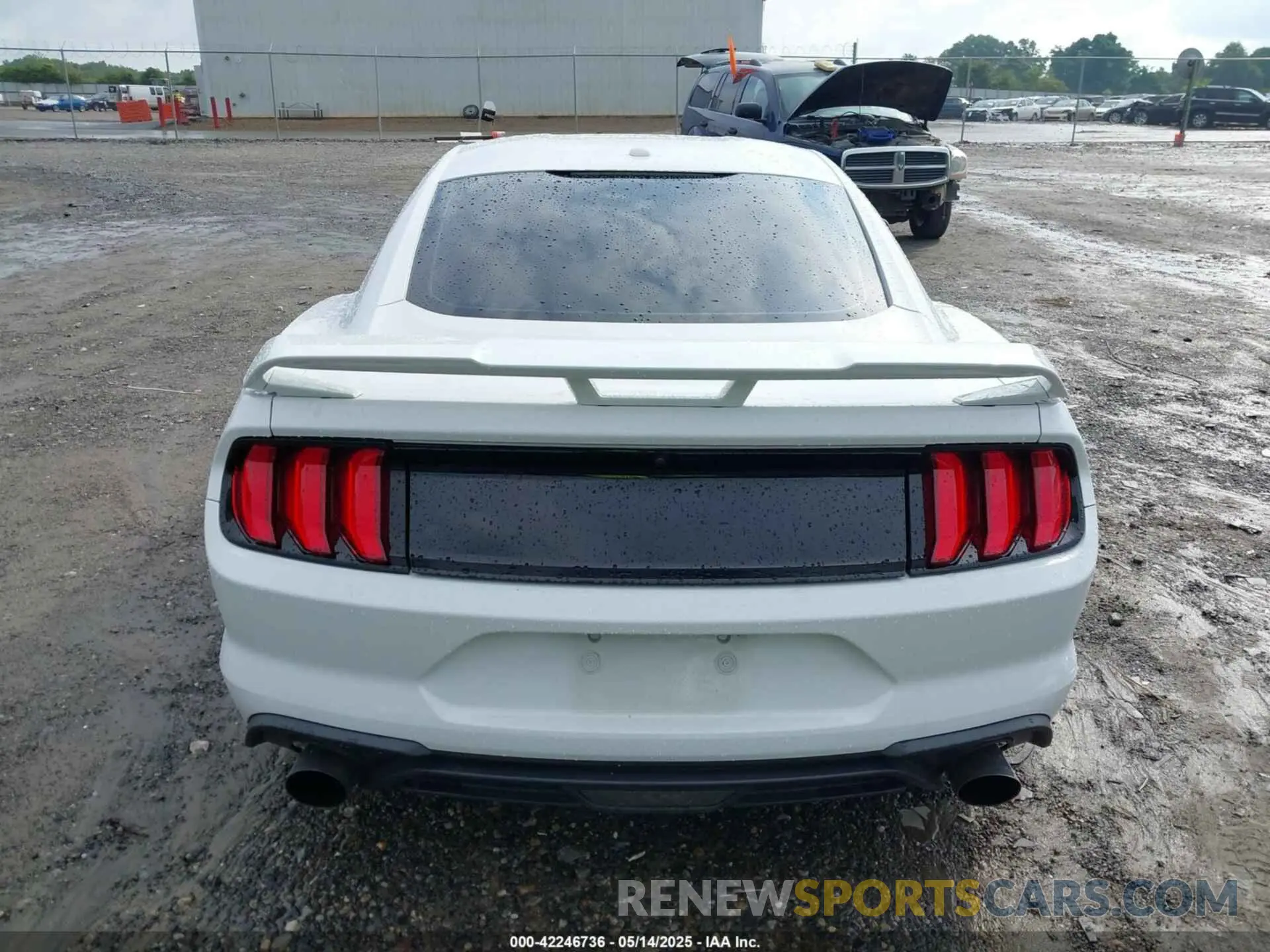 17 Photograph of a damaged car 1FA6P8TH9L5132788 FORD MUSTANG 2020