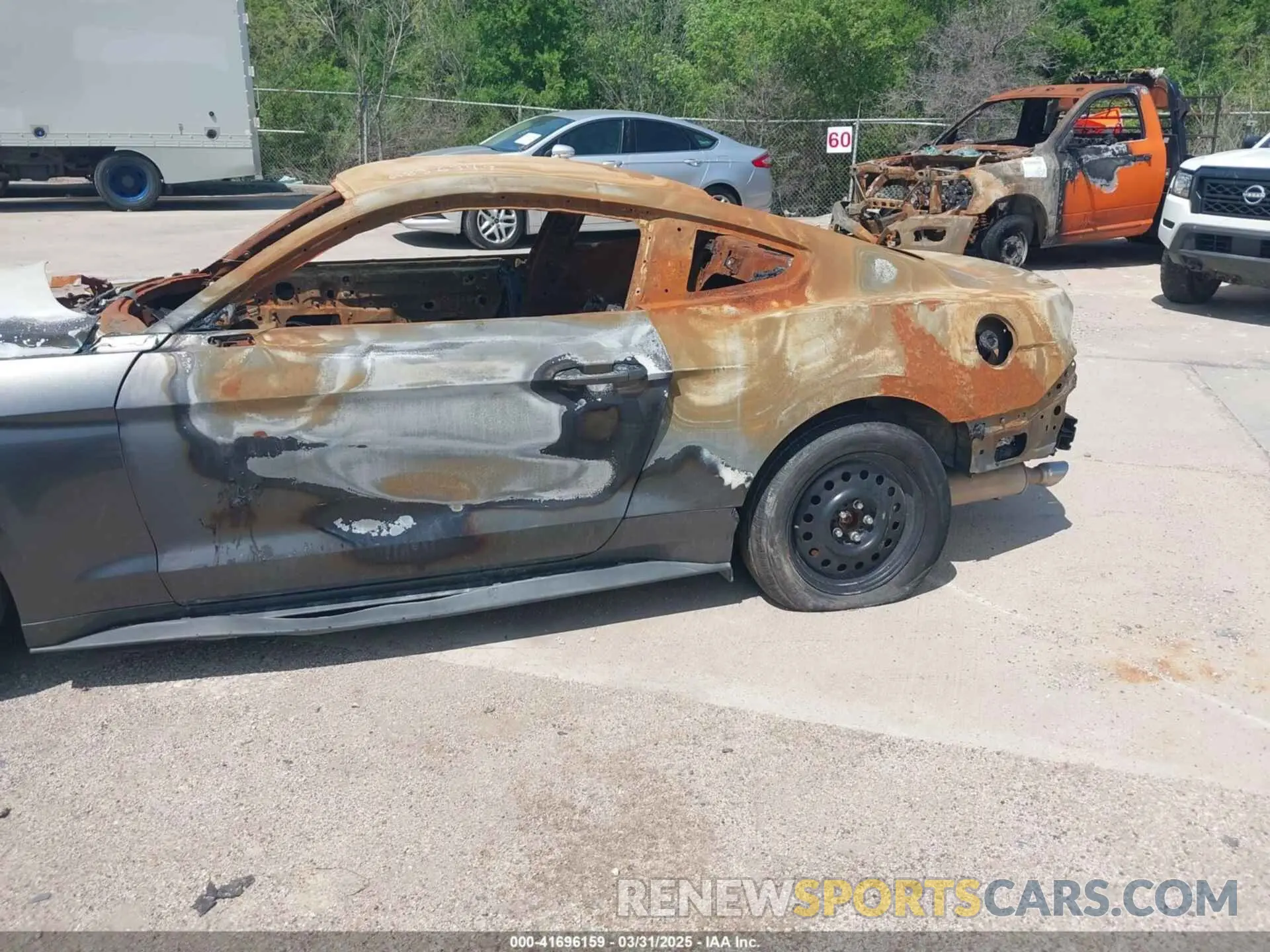12 Фотография поврежденного автомобиля 1FA6P8THXL5154380 FORD MUSTANG 2020