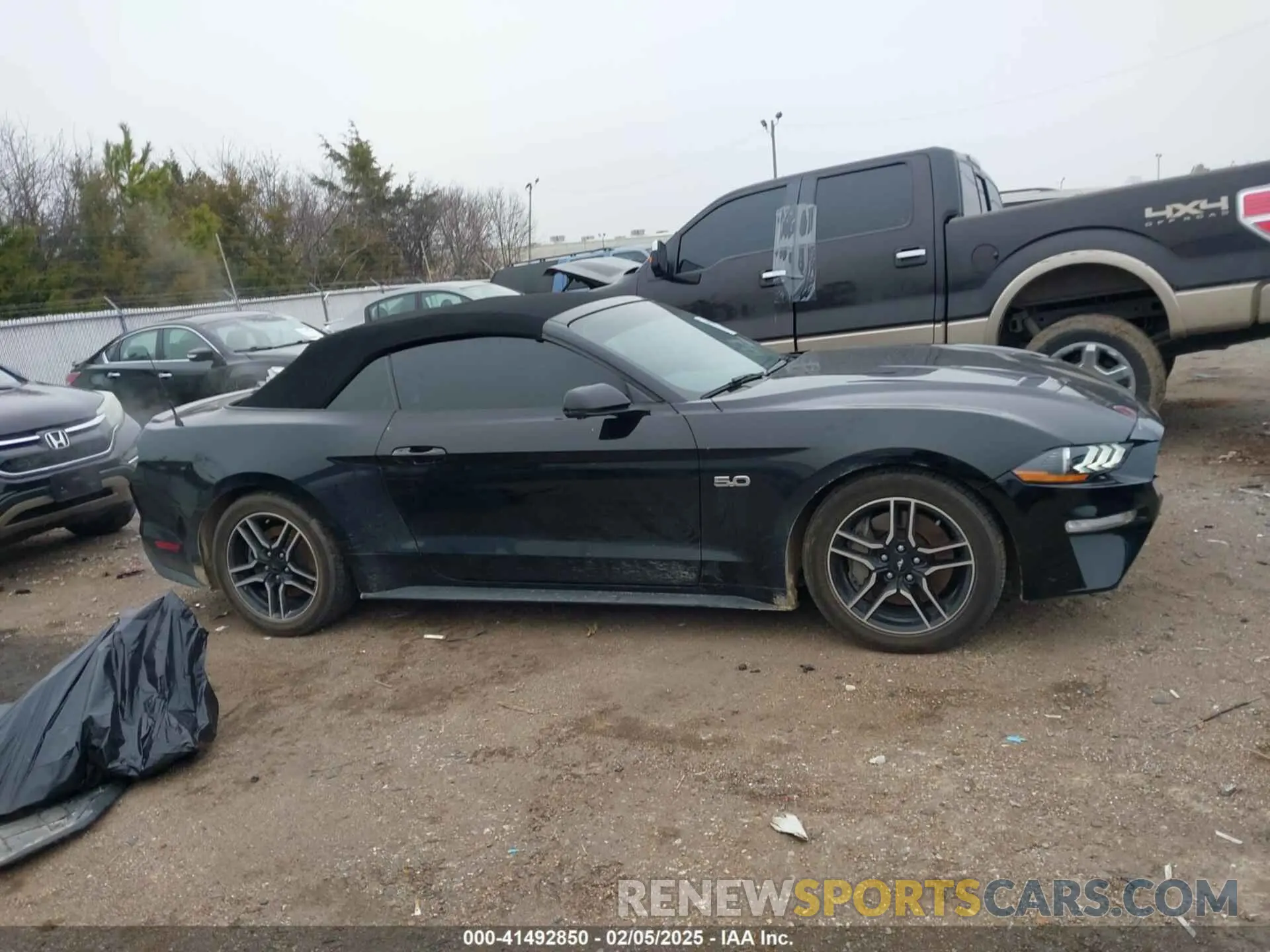 13 Photograph of a damaged car 1FATP8FF1L5125699 FORD MUSTANG 2020