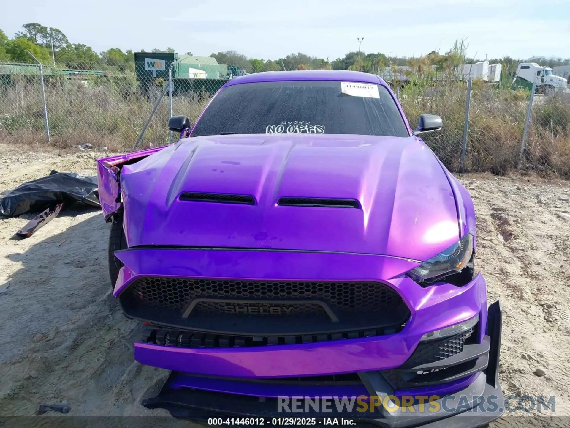 13 Фотография поврежденного автомобиля 1FA6P8CF1M5145017 FORD MUSTANG 2021