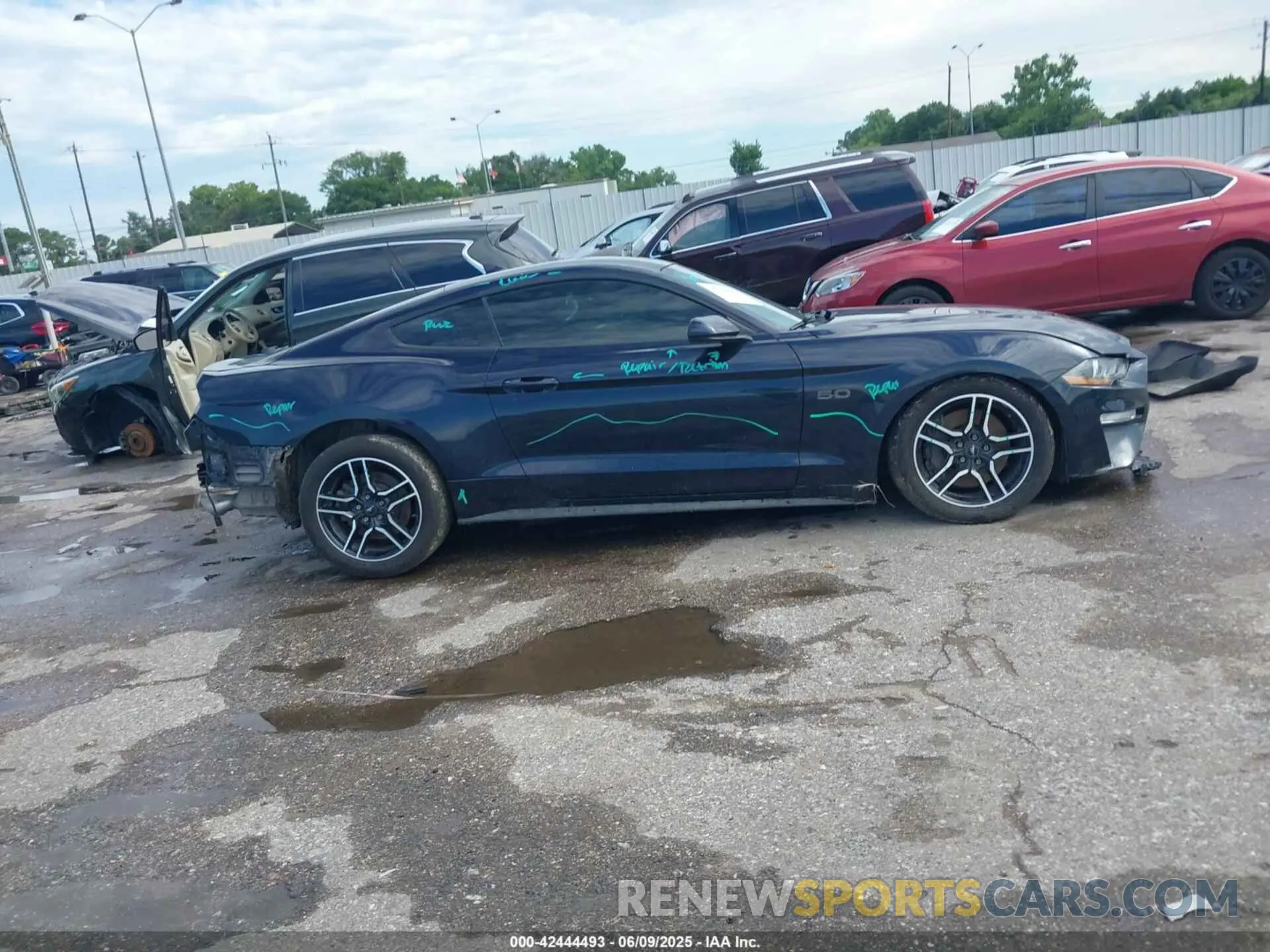 12 Фотография поврежденного автомобиля 1FA6P8CF1M5148371 FORD MUSTANG 2021