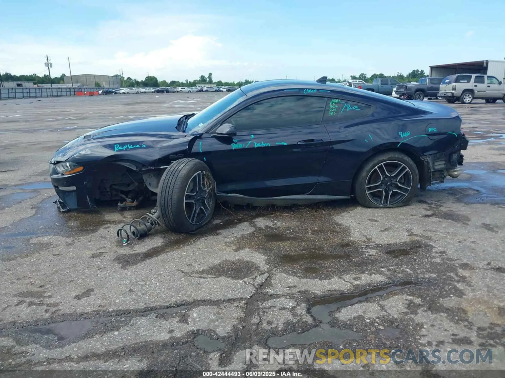 13 Фотография поврежденного автомобиля 1FA6P8CF1M5148371 FORD MUSTANG 2021