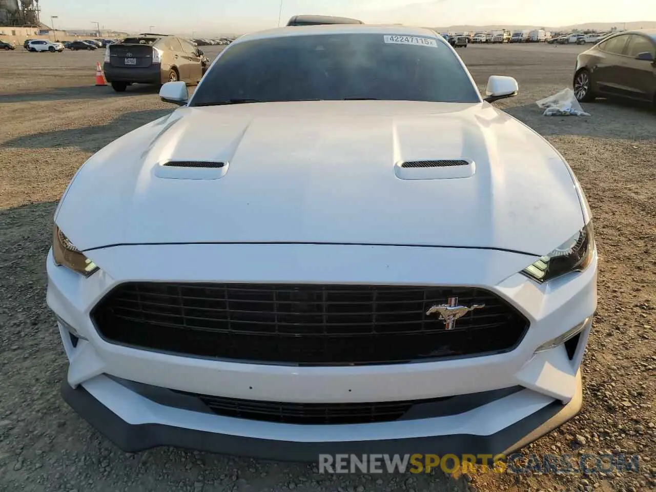 5 Фотография поврежденного автомобиля 1FA6P8CF2M5118134 FORD MUSTANG 2021