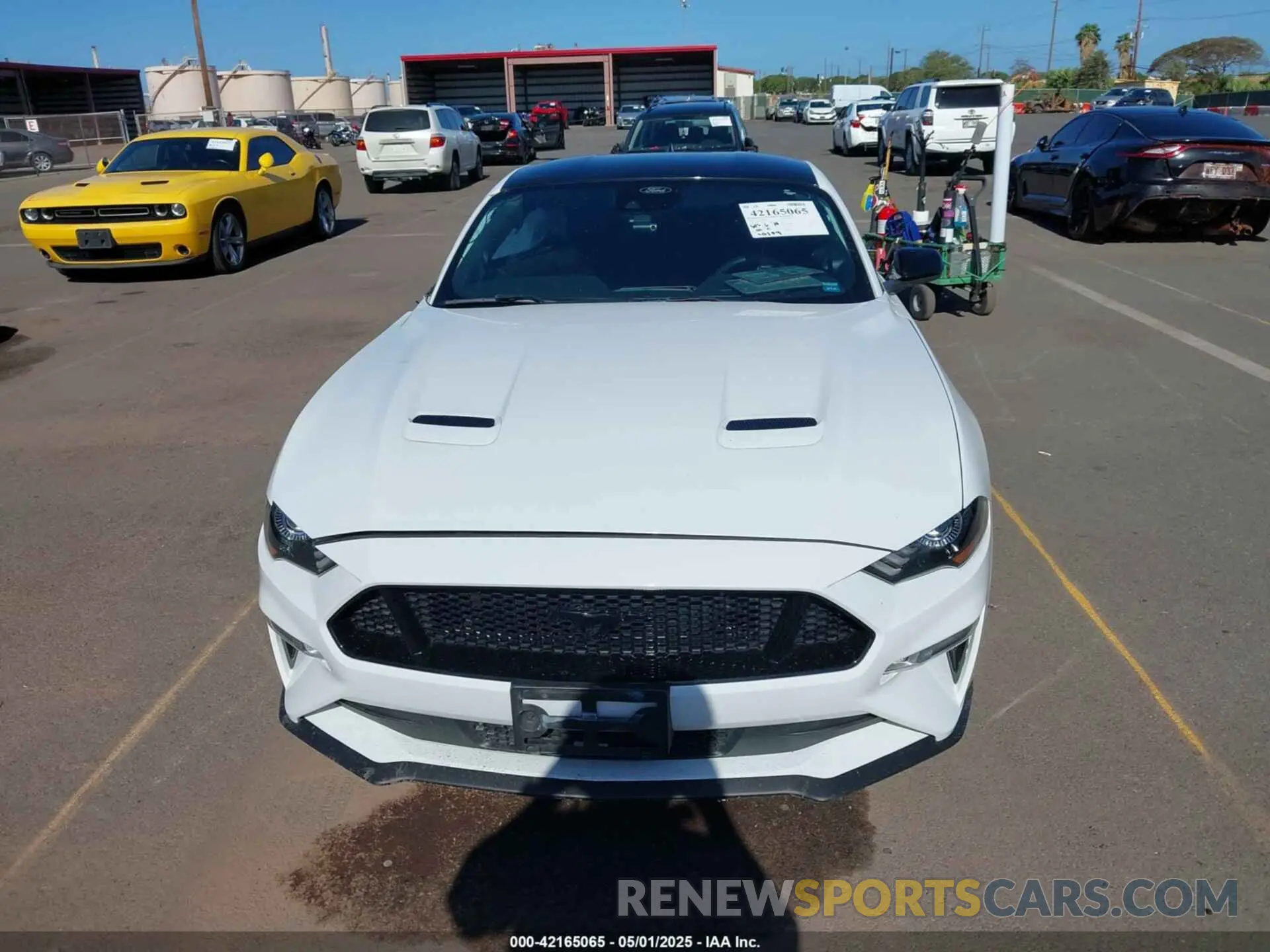 13 Photograph of a damaged car 1FA6P8CF5M5142279 FORD MUSTANG 2021