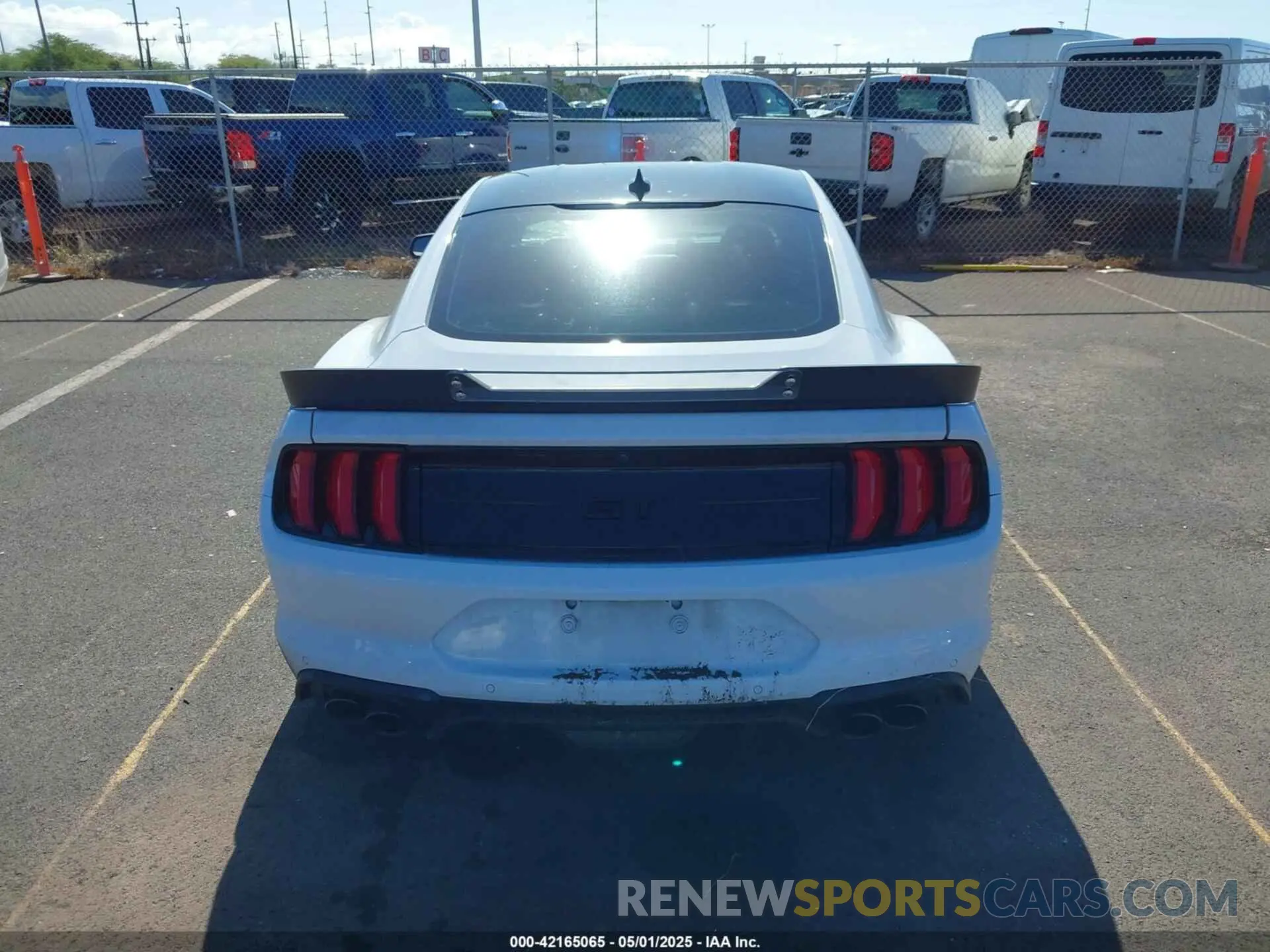 17 Photograph of a damaged car 1FA6P8CF5M5142279 FORD MUSTANG 2021