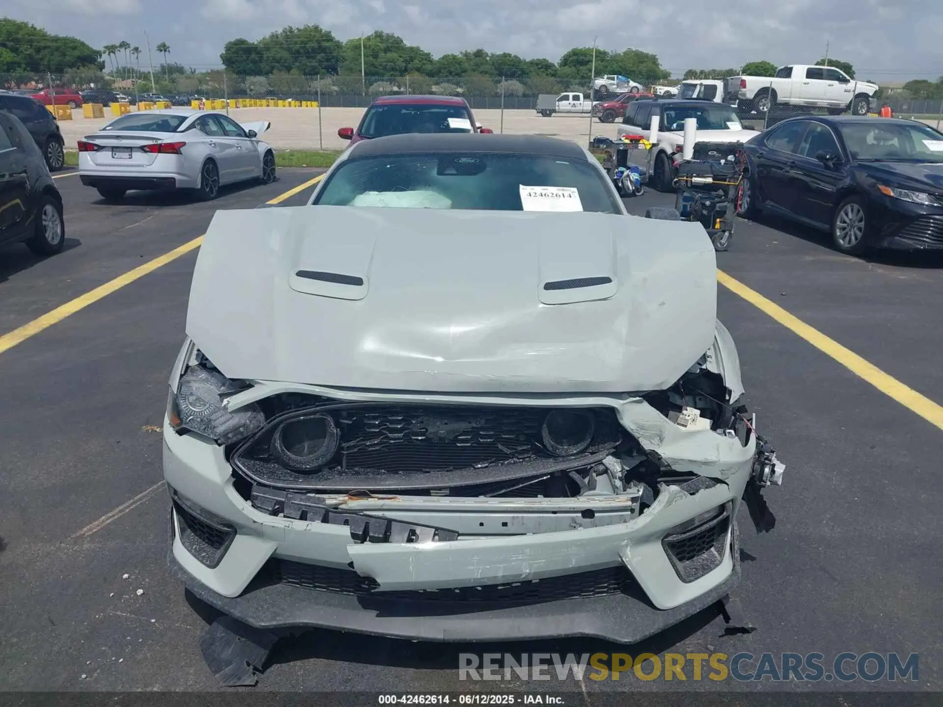 12 Photograph of a damaged car 1FA6P8CF7M5128125 FORD MUSTANG 2021