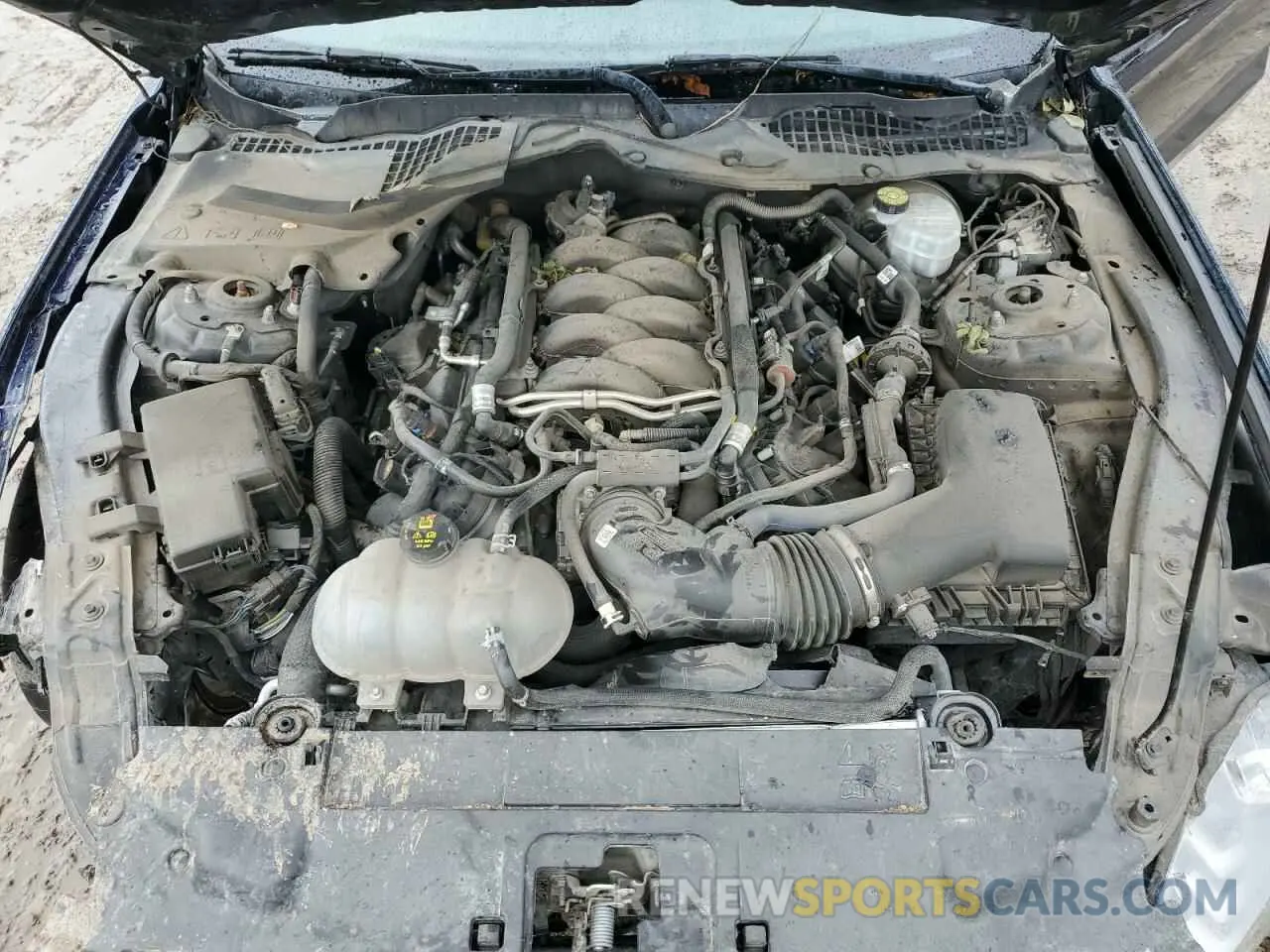13 Фотография поврежденного автомобиля 1FA6P8CF8M5145208 FORD MUSTANG 2021