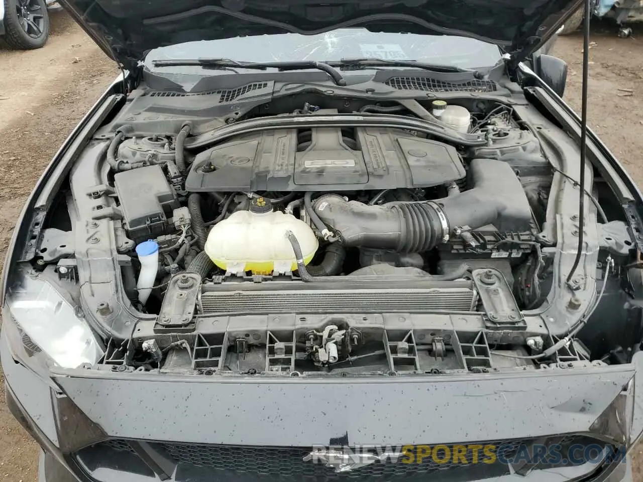11 Photograph of a damaged car 1FA6P8CF8M5150487 FORD MUSTANG 2021