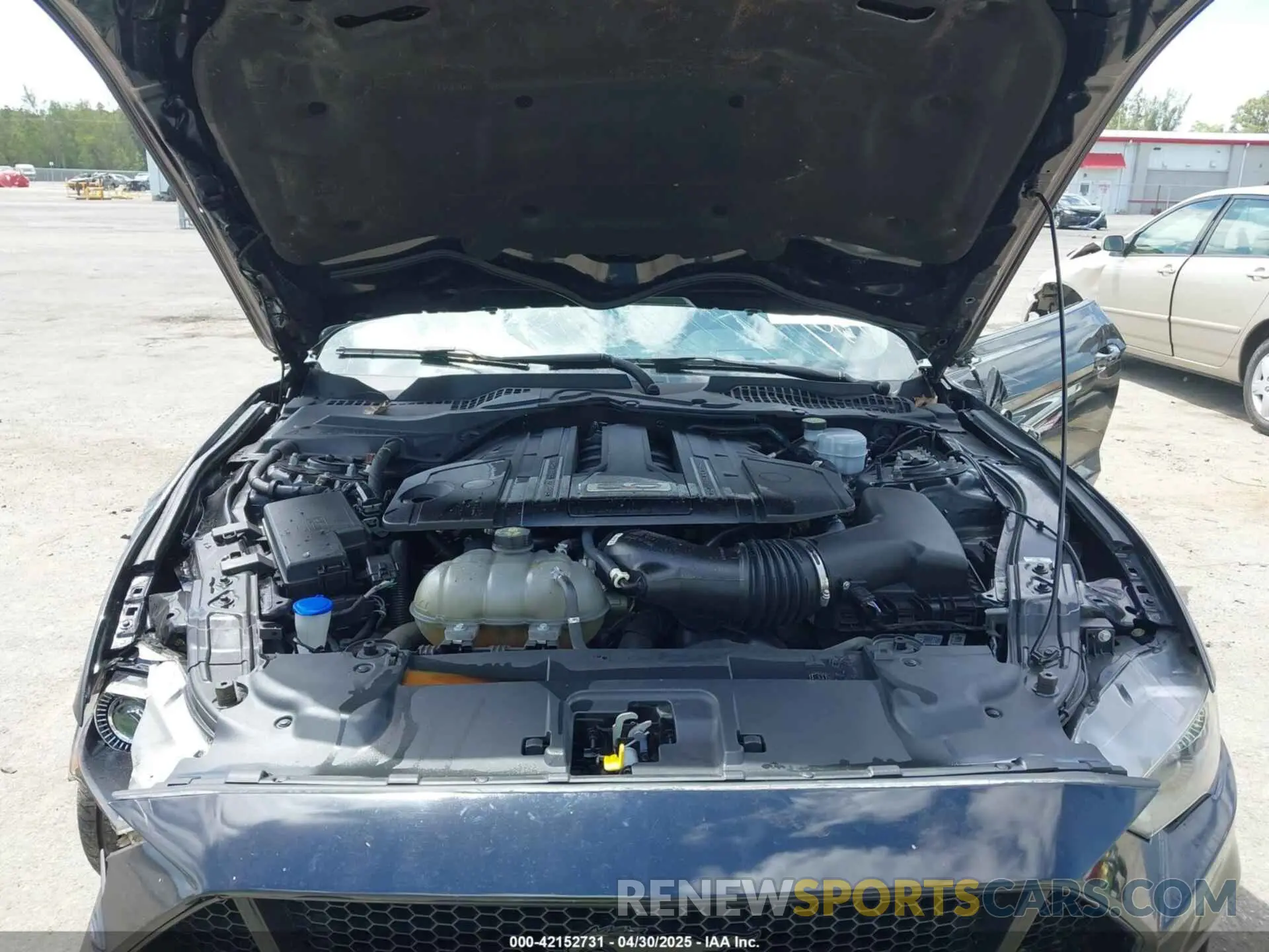 10 Фотография поврежденного автомобиля 1FA6P8CF9M5101993 FORD MUSTANG 2021