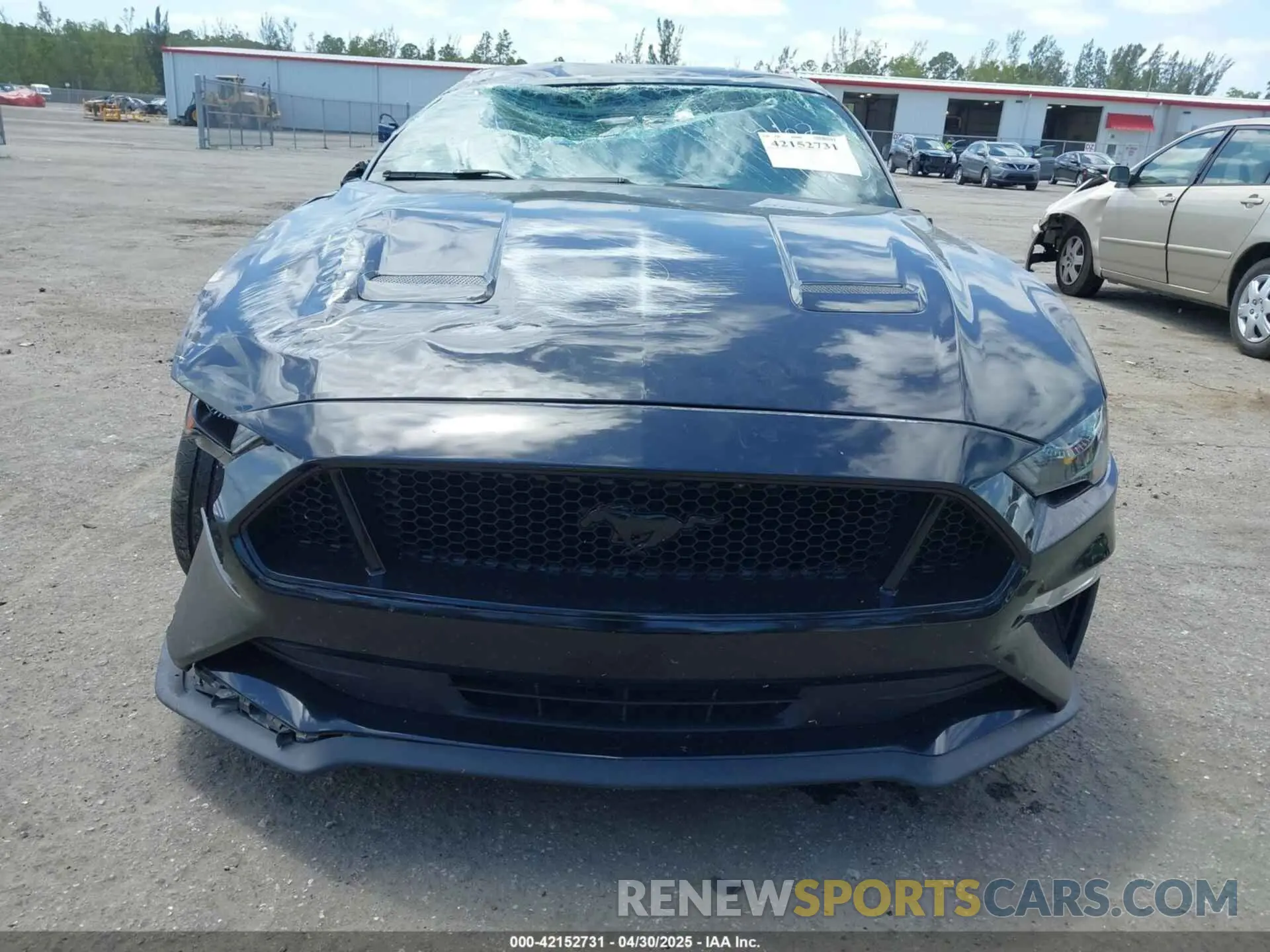 12 Фотография поврежденного автомобиля 1FA6P8CF9M5101993 FORD MUSTANG 2021