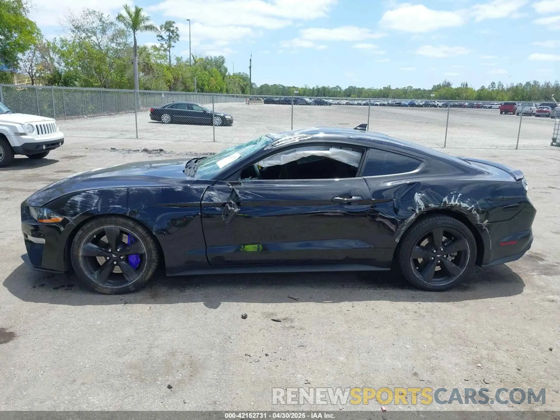 14 Фотография поврежденного автомобиля 1FA6P8CF9M5101993 FORD MUSTANG 2021