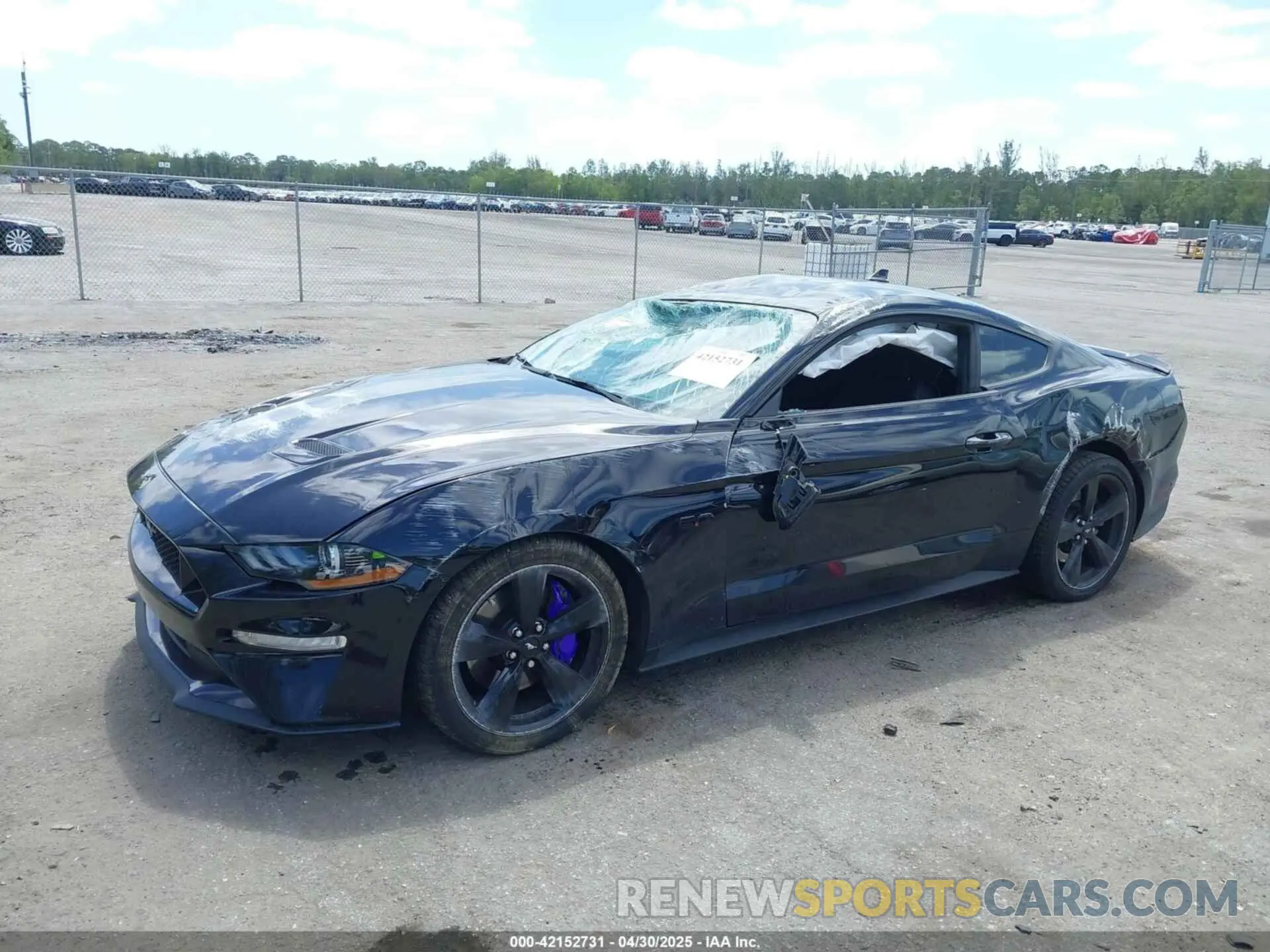 6 Фотография поврежденного автомобиля 1FA6P8CF9M5101993 FORD MUSTANG 2021