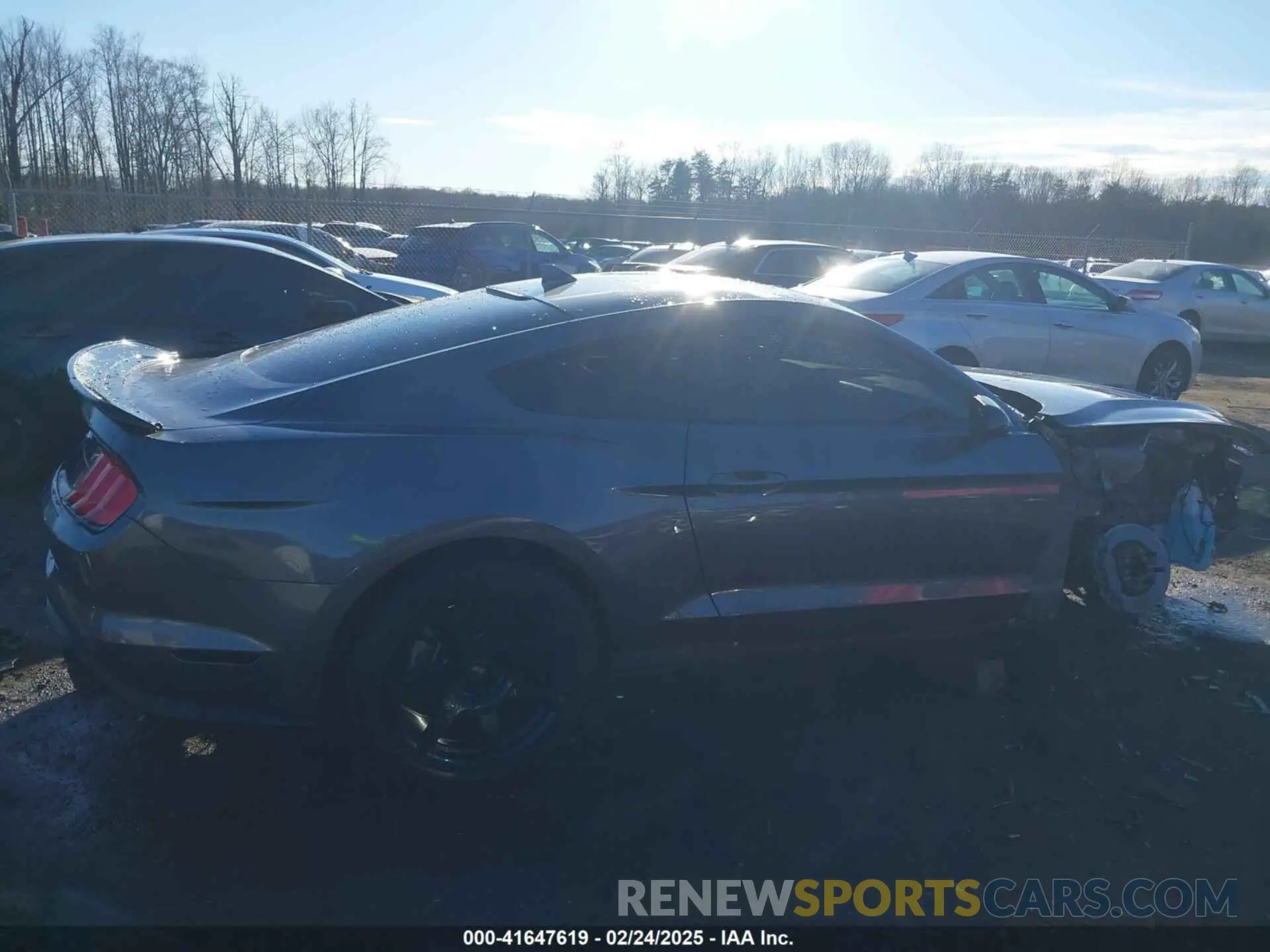 14 Photograph of a damaged car 1FA6P8CF9M5117126 FORD MUSTANG 2021