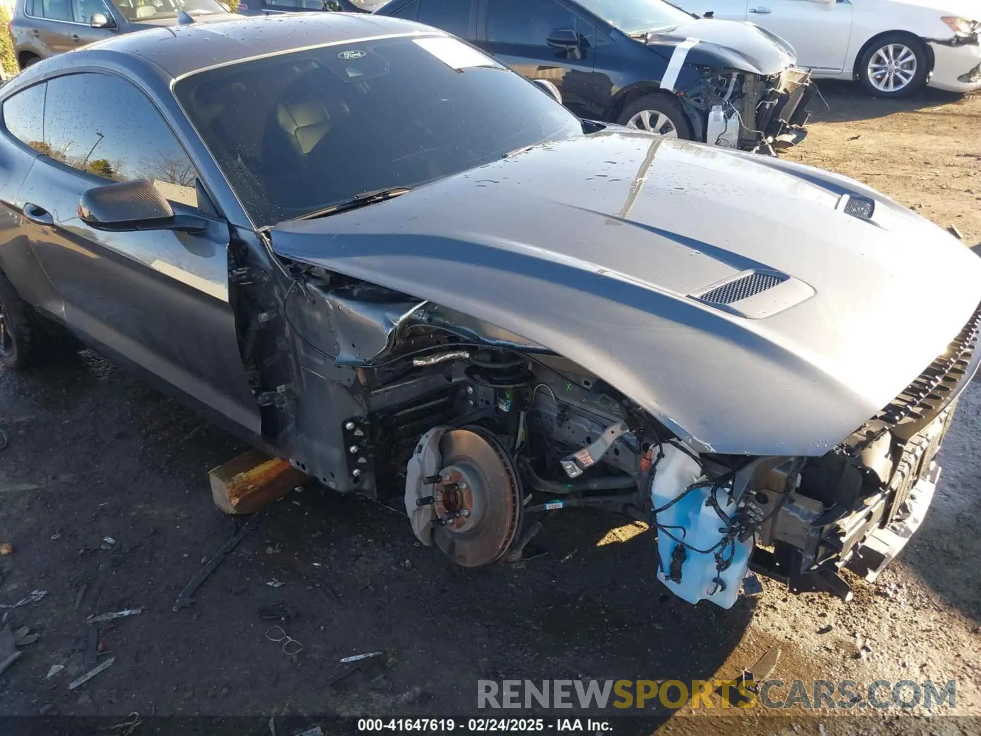 19 Photograph of a damaged car 1FA6P8CF9M5117126 FORD MUSTANG 2021