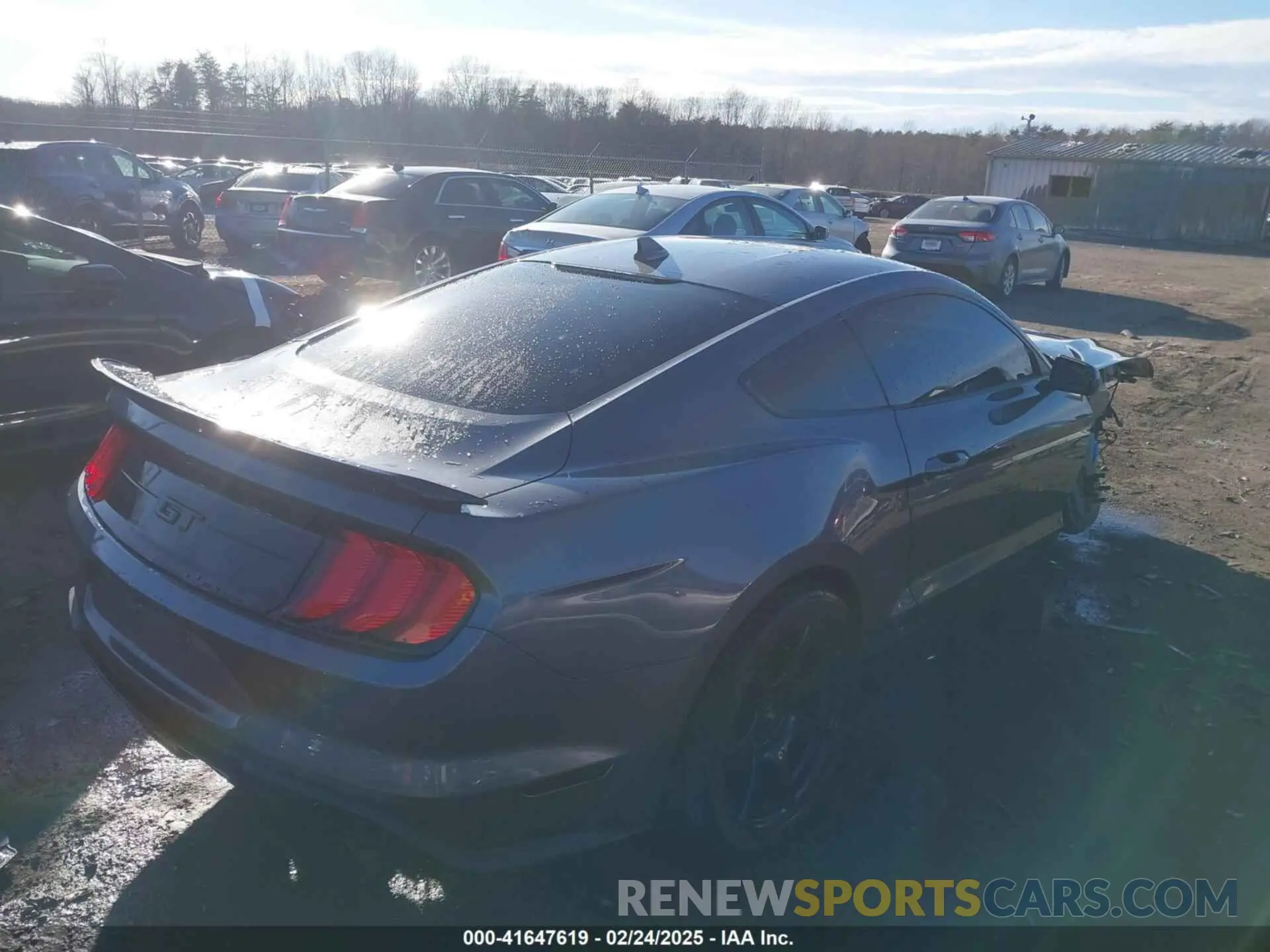 4 Photograph of a damaged car 1FA6P8CF9M5117126 FORD MUSTANG 2021