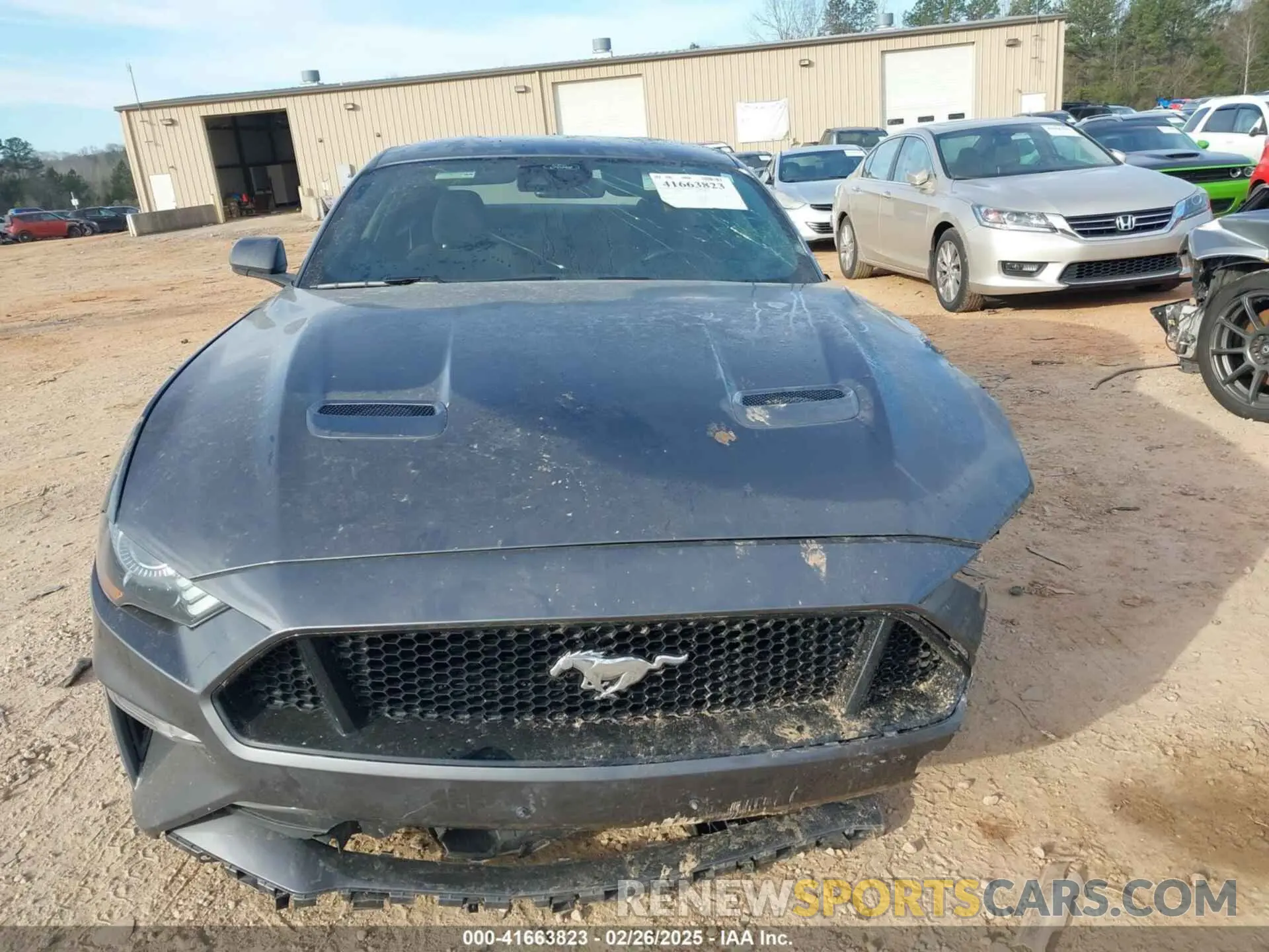 12 Фотография поврежденного автомобиля 1FA6P8CF9M5153818 FORD MUSTANG 2021