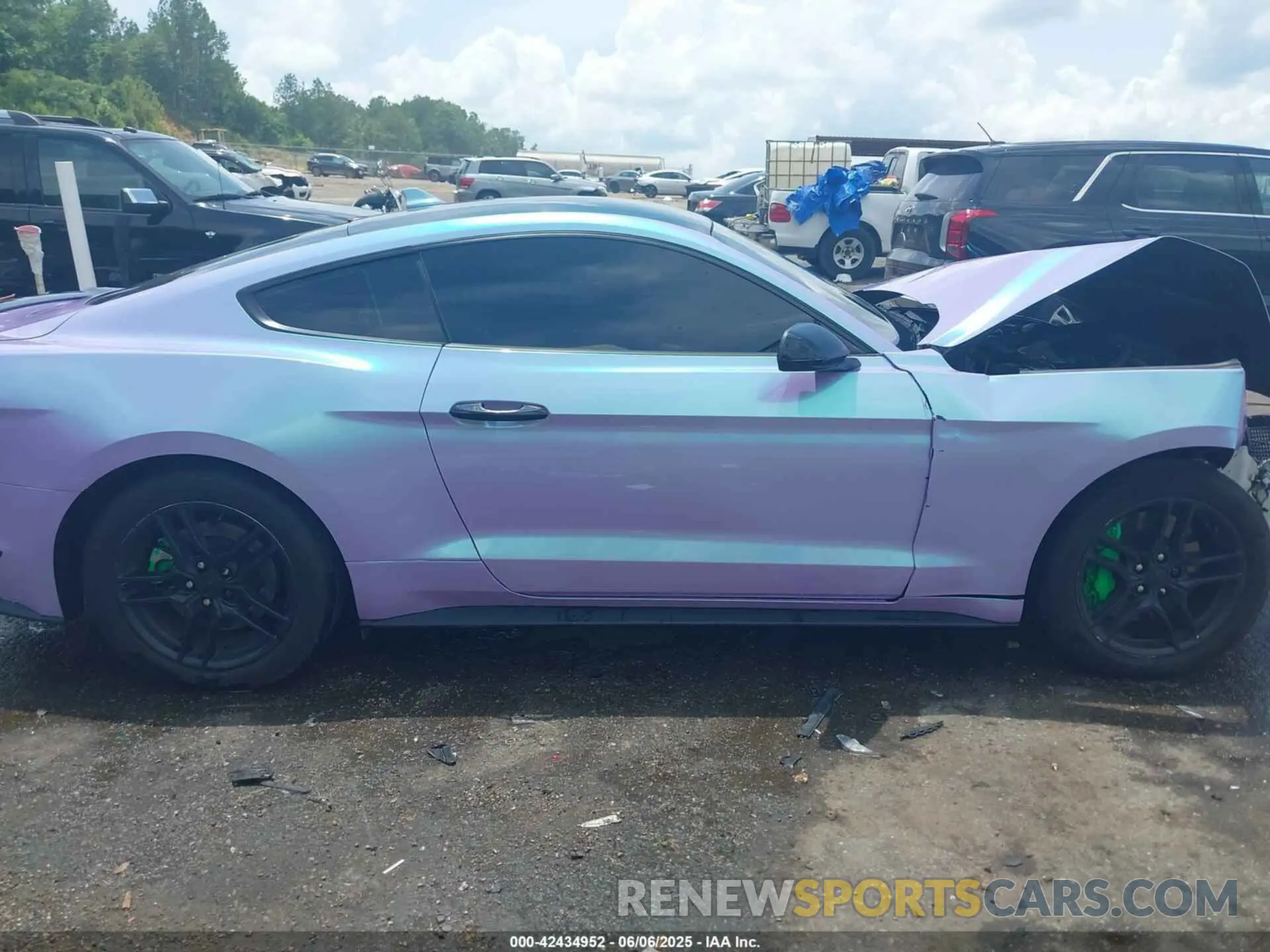 14 Photograph of a damaged car 1FA6P8CFXM5113862 FORD MUSTANG 2021