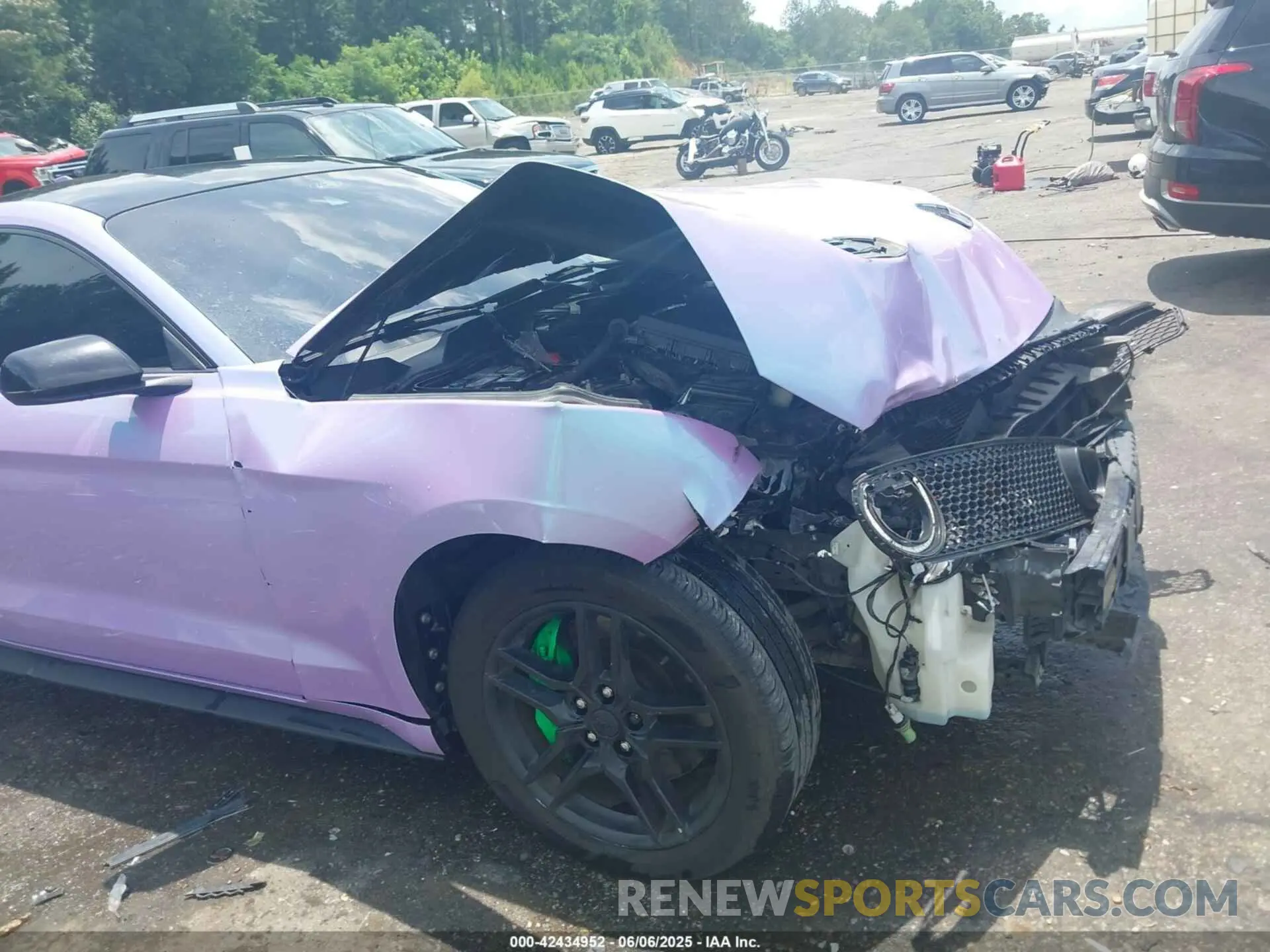 19 Photograph of a damaged car 1FA6P8CFXM5113862 FORD MUSTANG 2021
