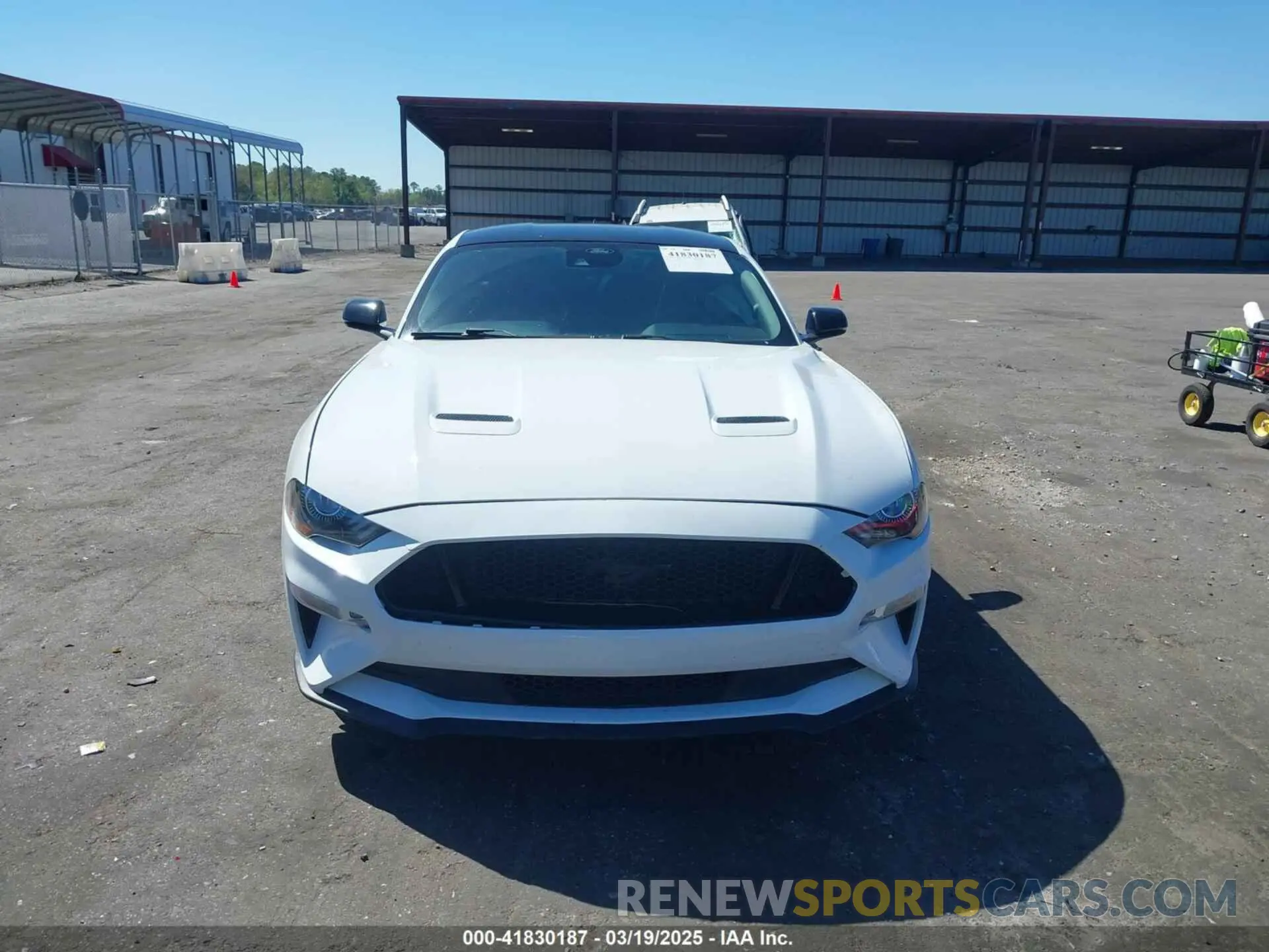 12 Photograph of a damaged car 1FA6P8CFXM5140544 FORD MUSTANG 2021