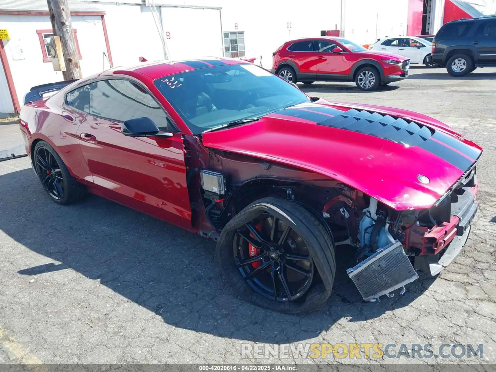 1 Фотография поврежденного автомобиля 1FA6P8SJ6M5500981 FORD MUSTANG 2021
