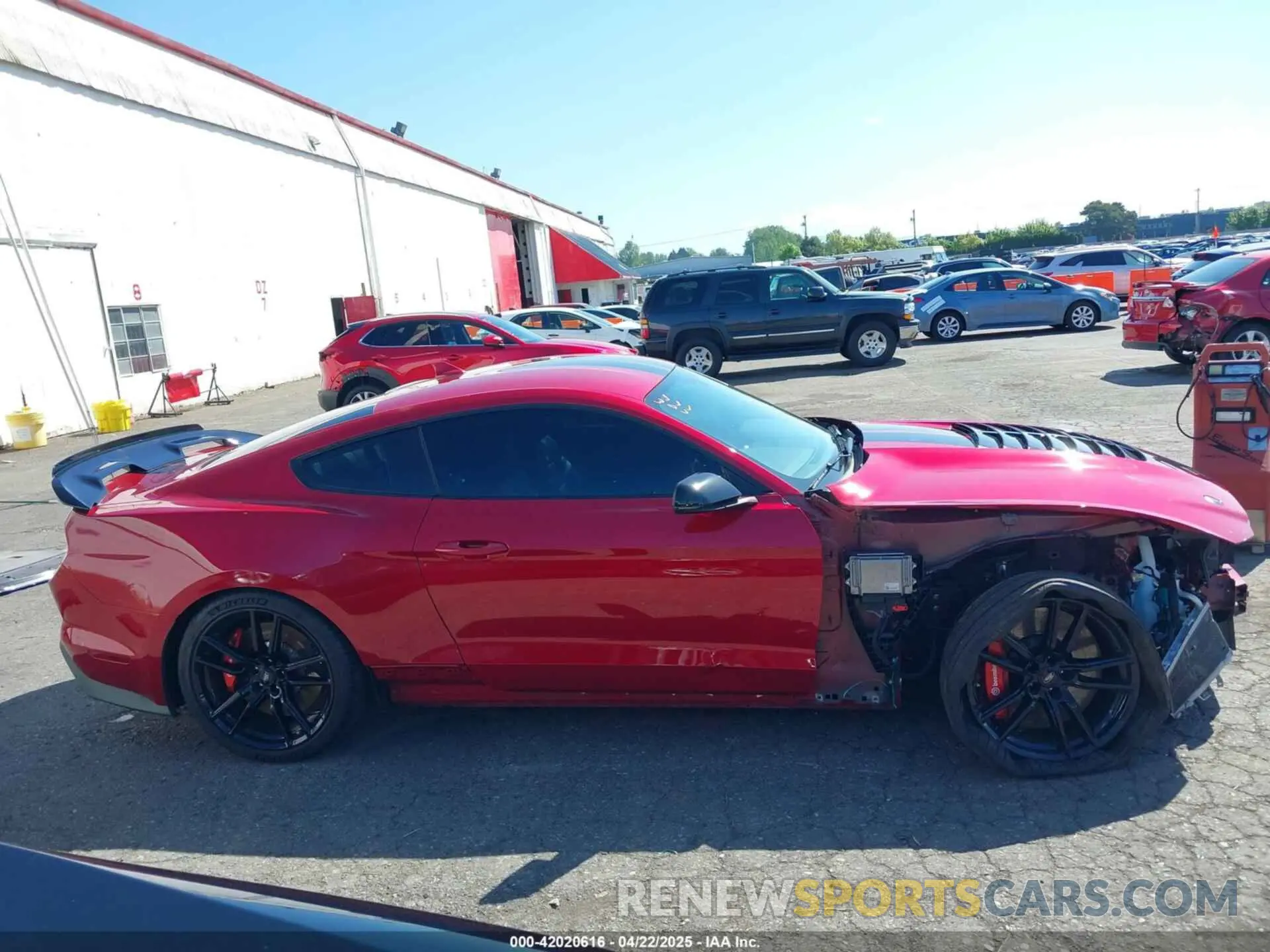 14 Фотография поврежденного автомобиля 1FA6P8SJ6M5500981 FORD MUSTANG 2021