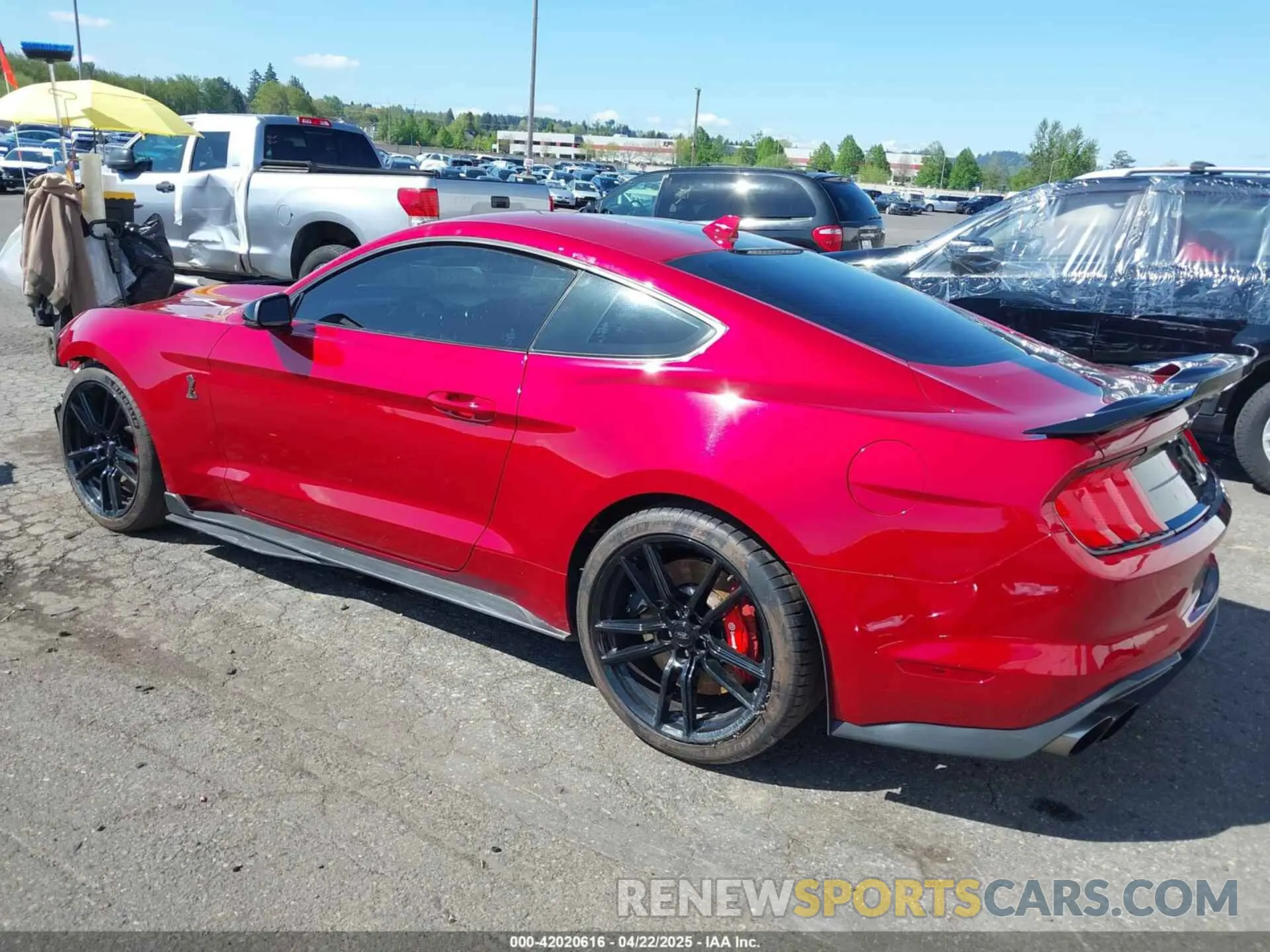 3 Фотография поврежденного автомобиля 1FA6P8SJ6M5500981 FORD MUSTANG 2021