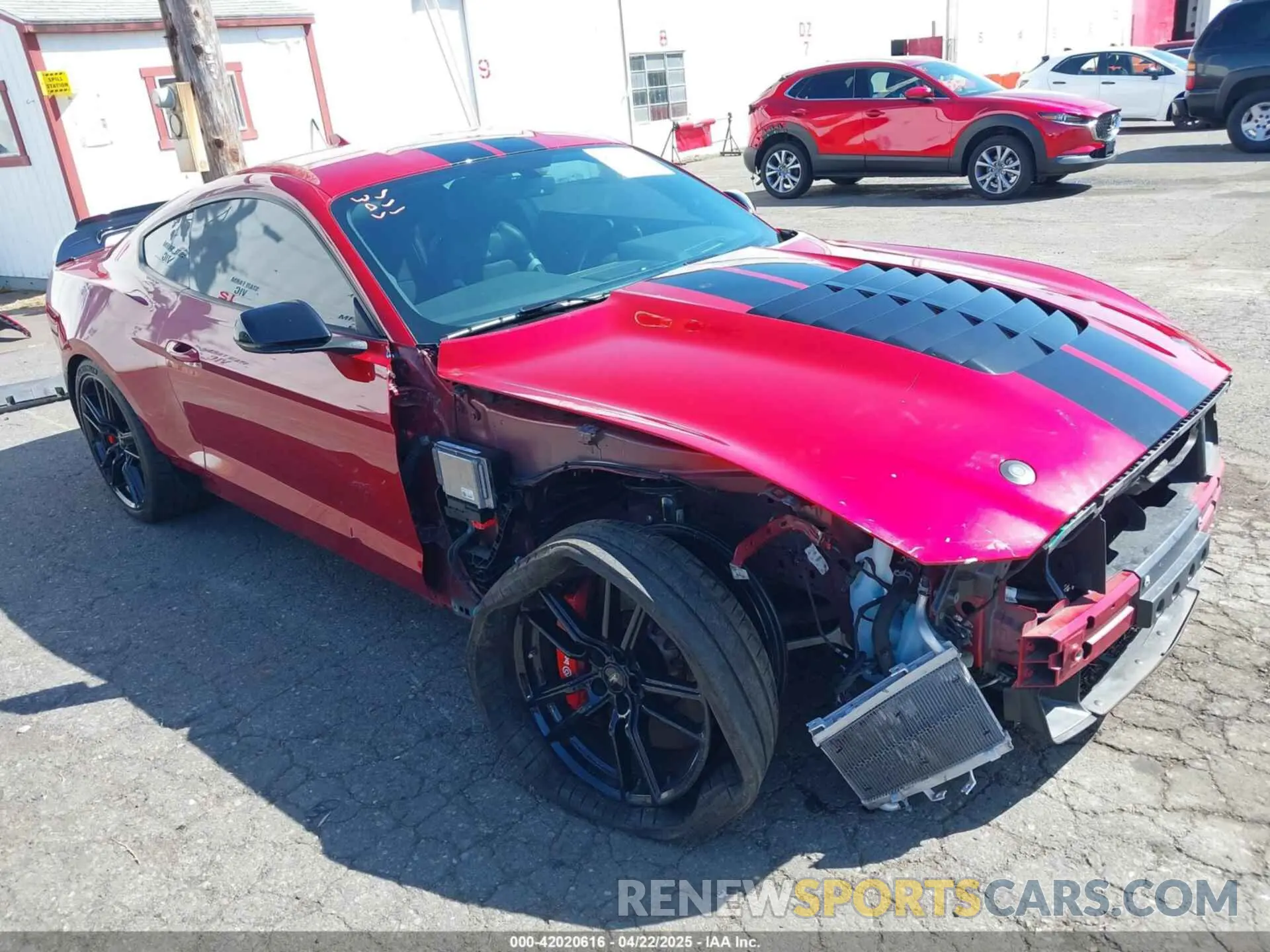 6 Фотография поврежденного автомобиля 1FA6P8SJ6M5500981 FORD MUSTANG 2021